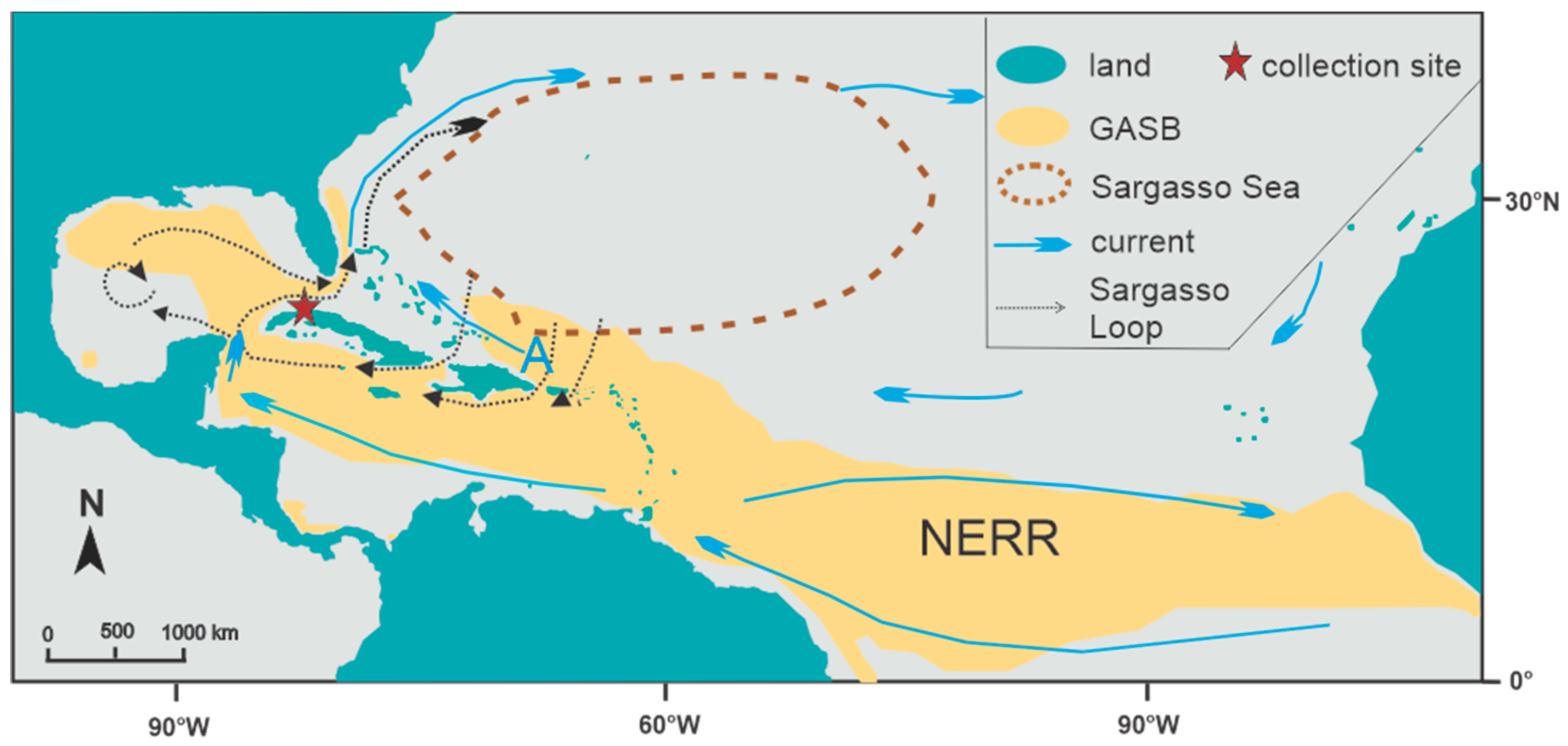 Phycology 03 00027 g001
