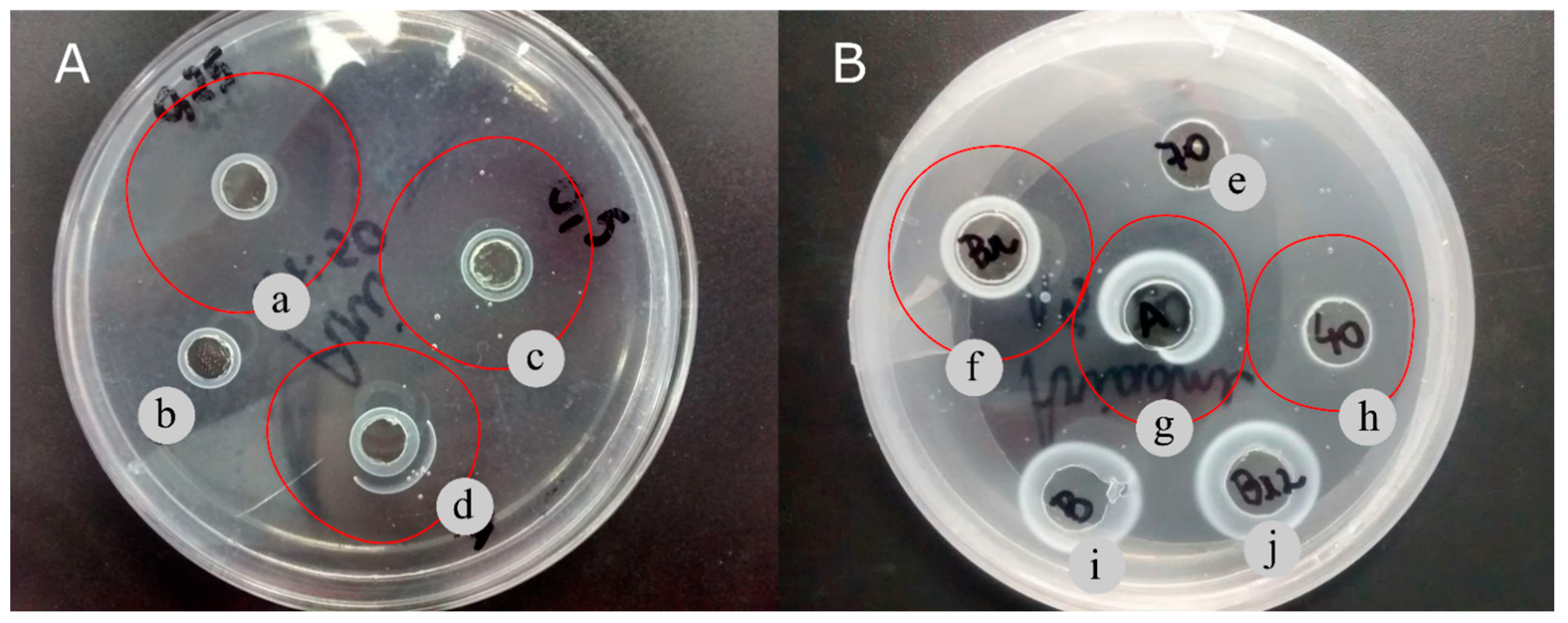 Phycology 03 00029 g002