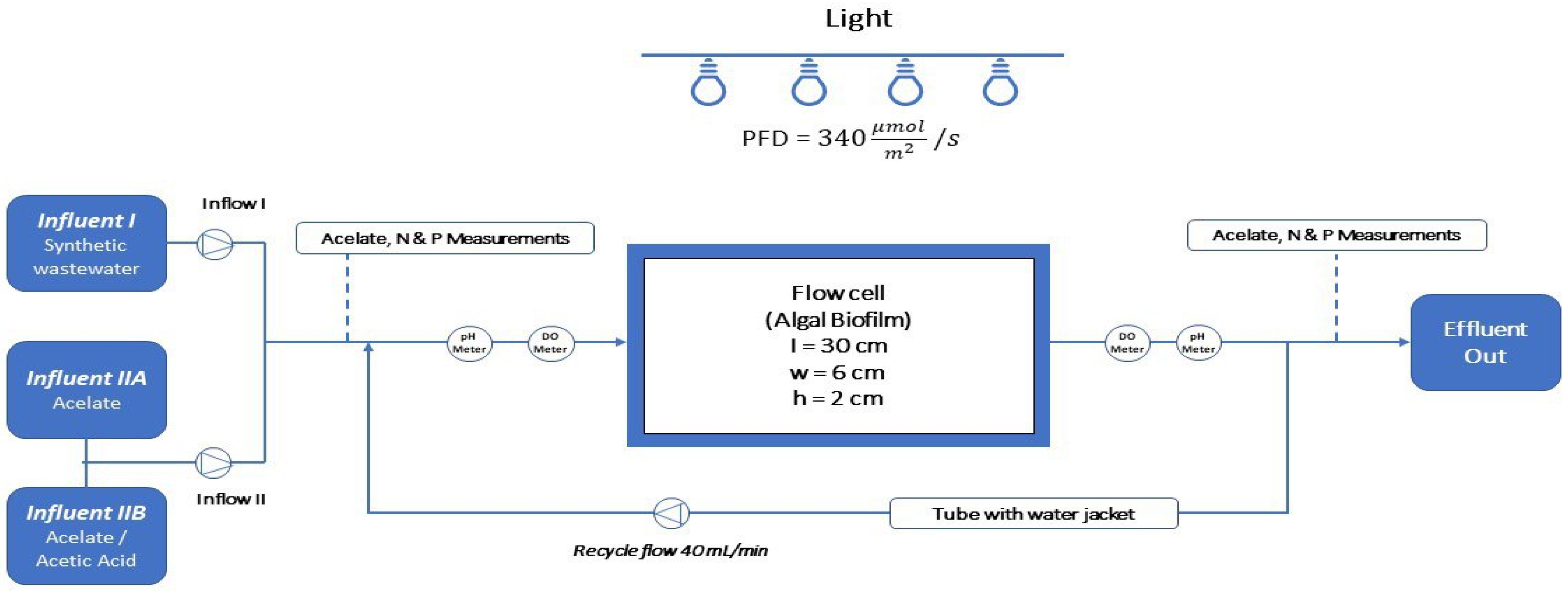 Phycology 03 00031 g002