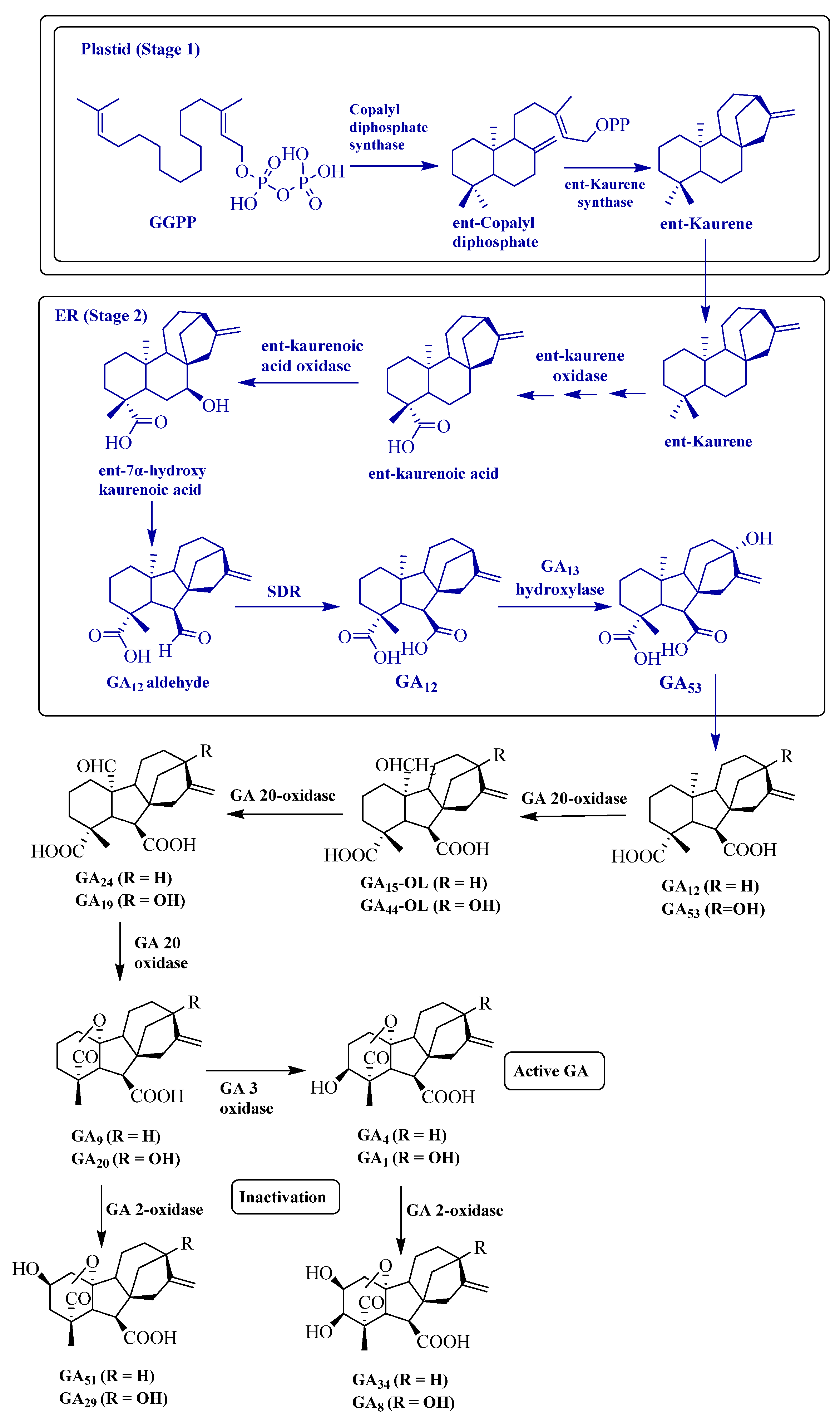 Phycology 04 00001 g003