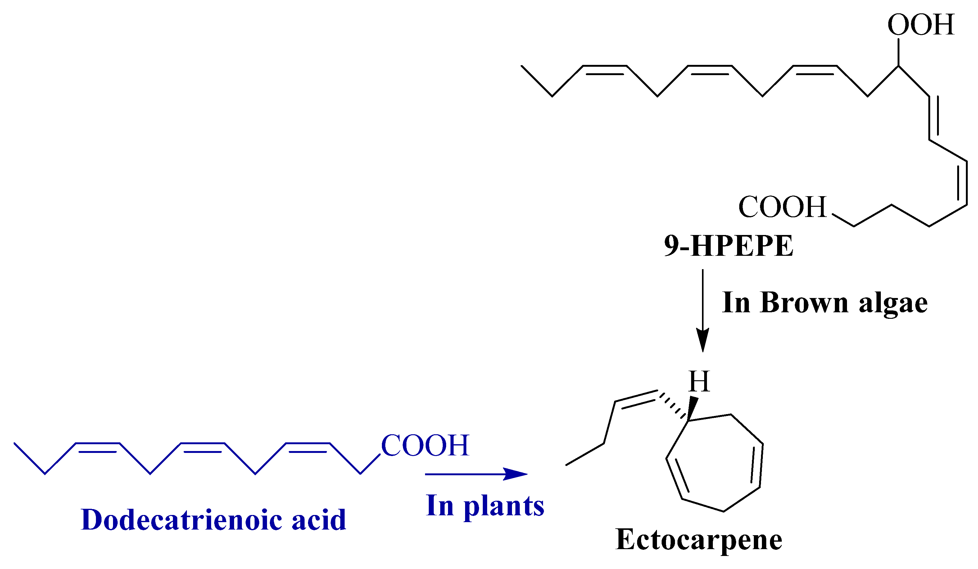 Phycology 04 00001 g008