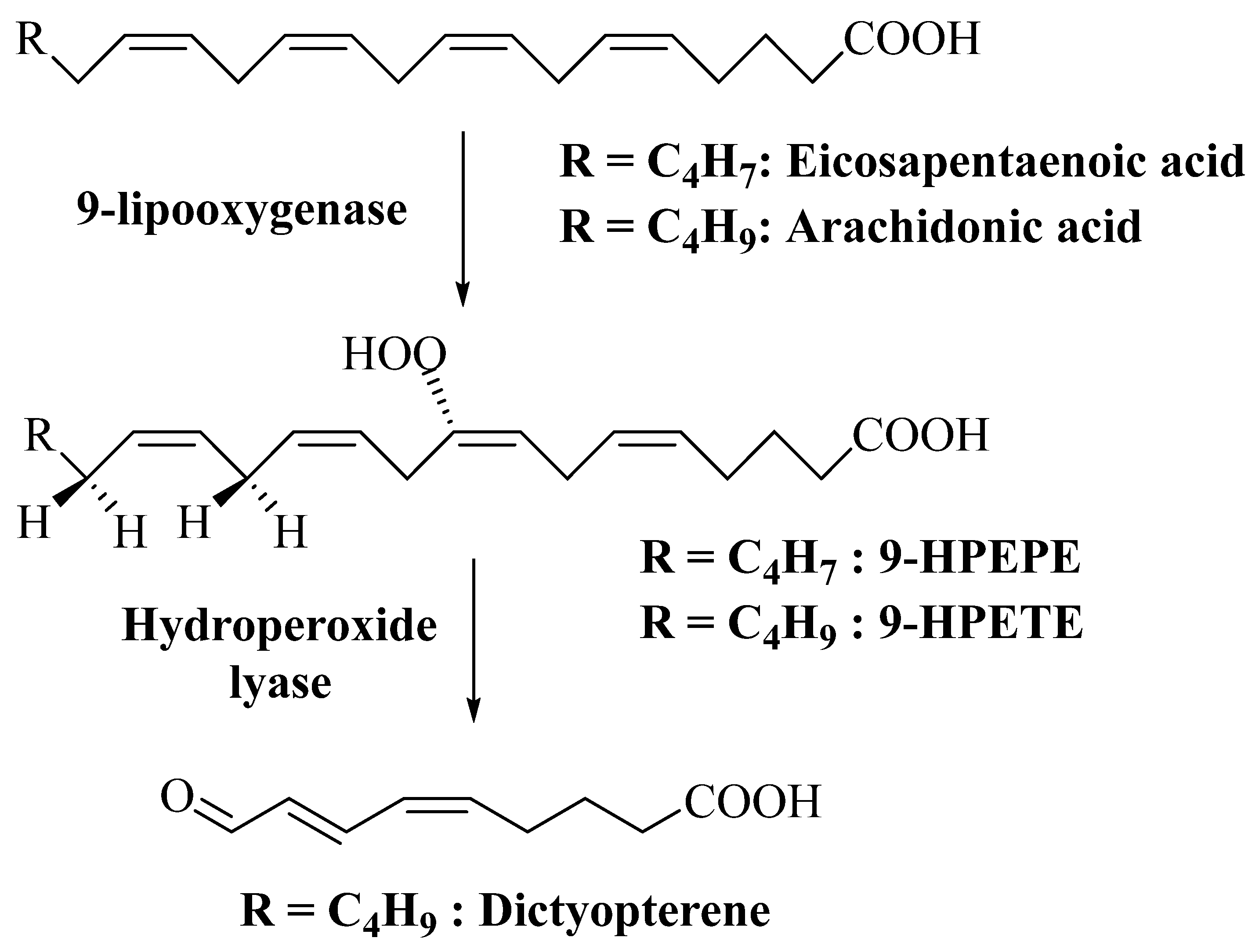 Phycology 04 00001 g009