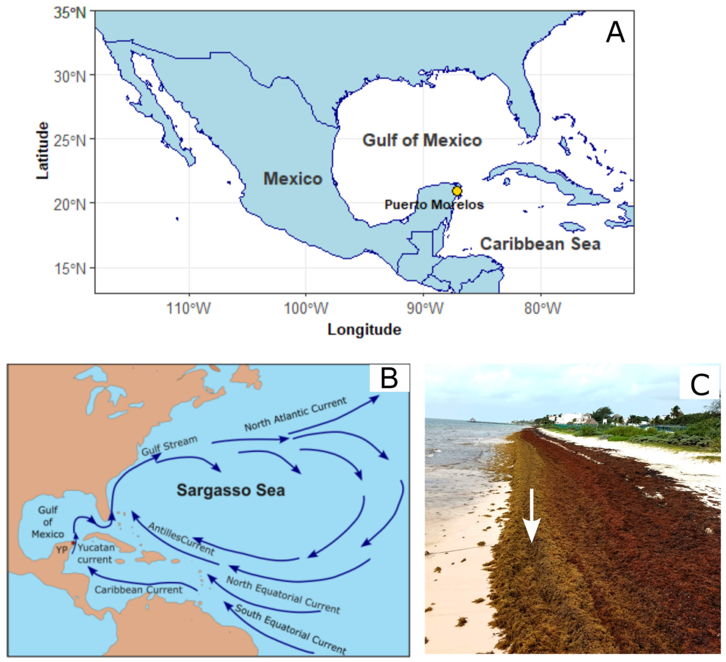 Phycology 04 00008 g001
