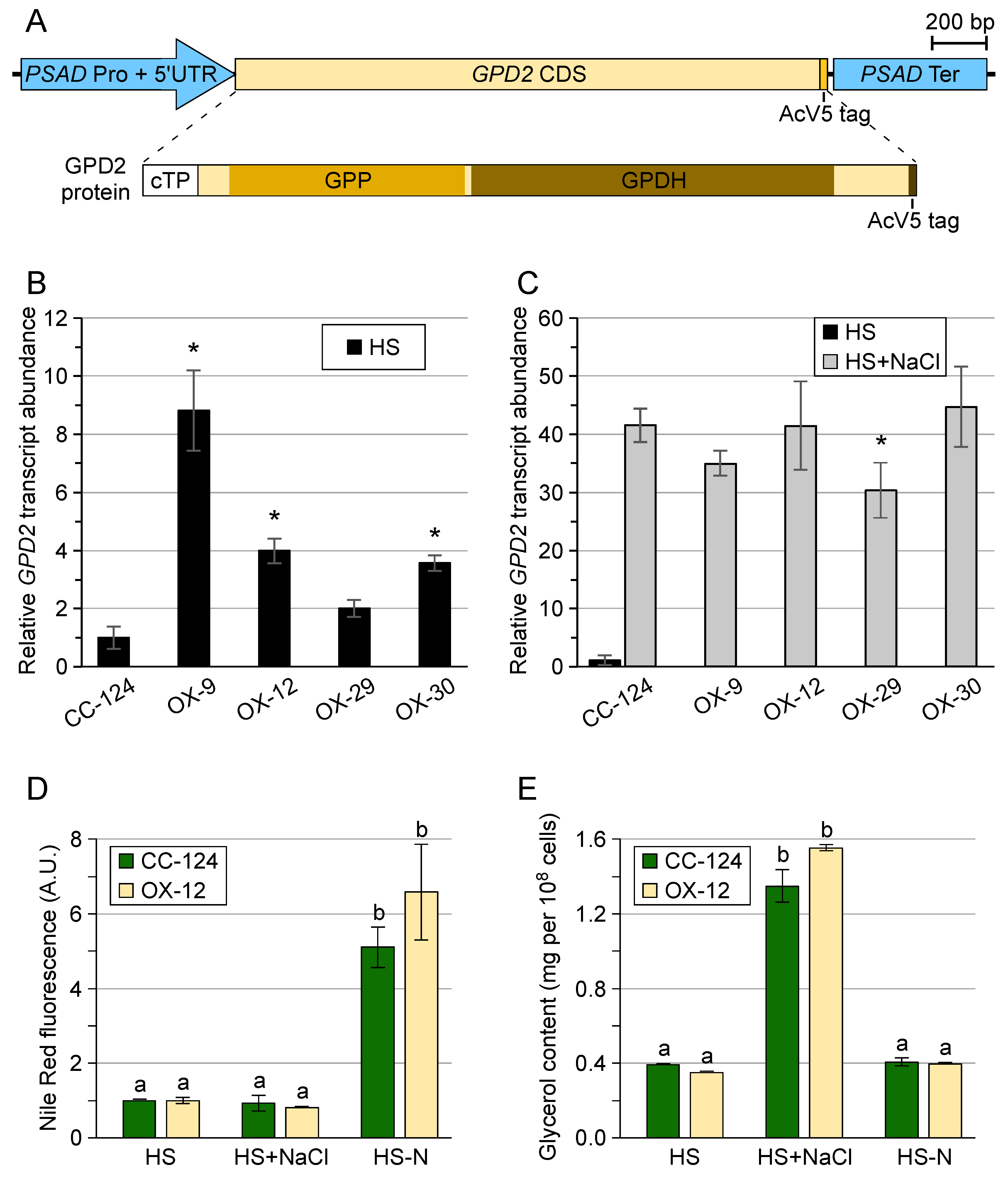 Phycology 04 00012 g002 Phycology 04 00012 g002