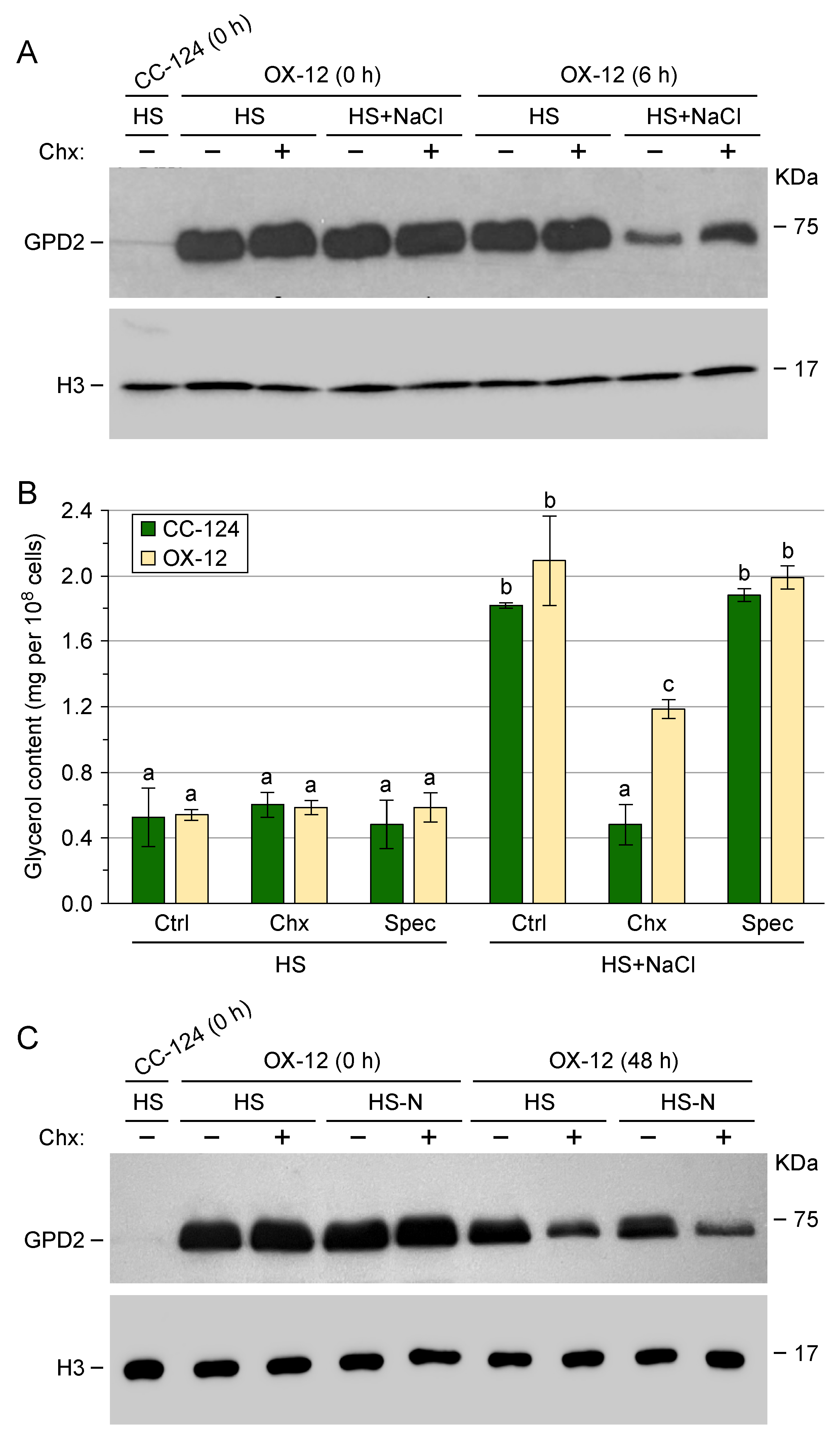 Phycology 04 00012 g003 Phycology 04 00012 g003
