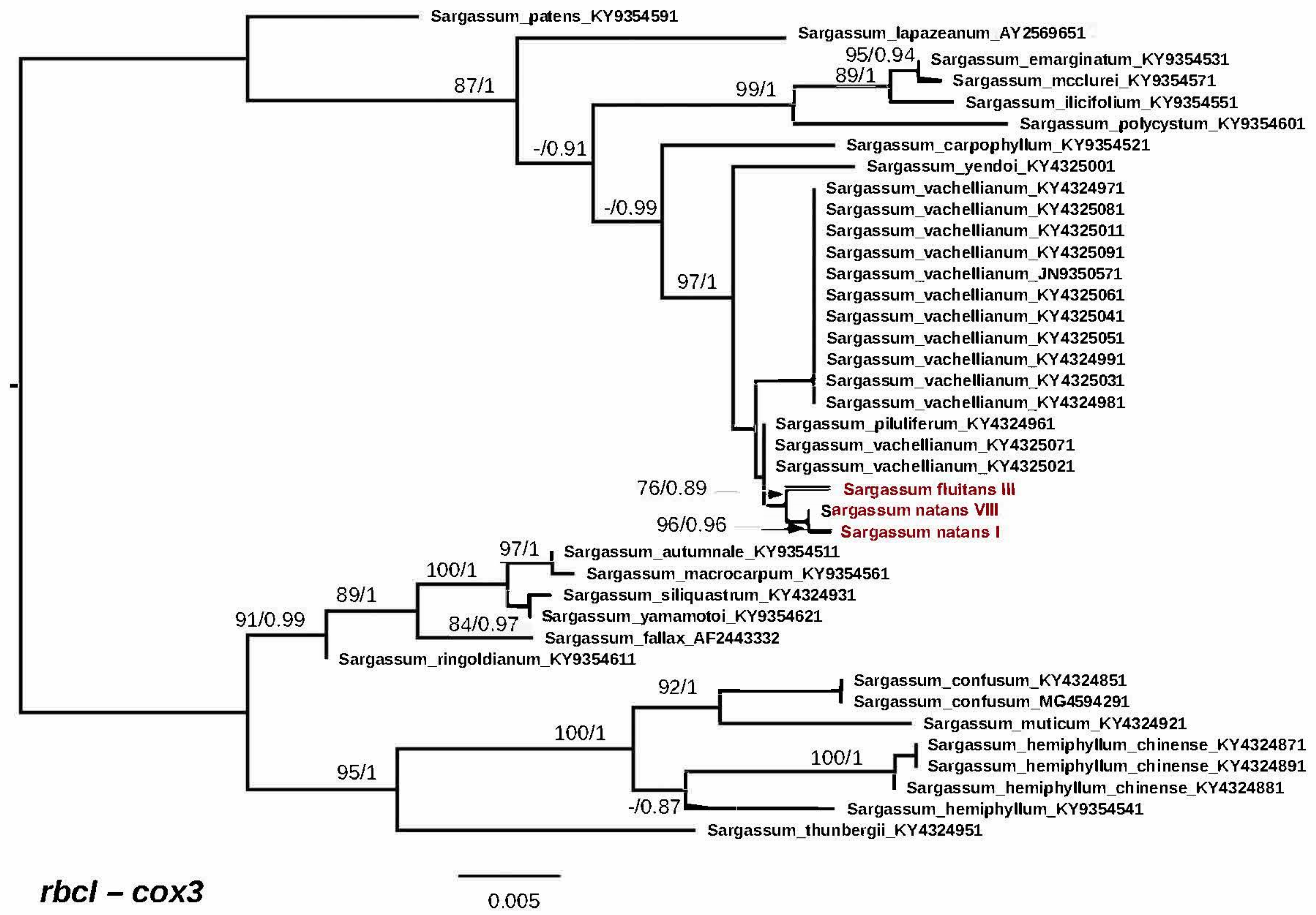 Phycology 04 00014 g005