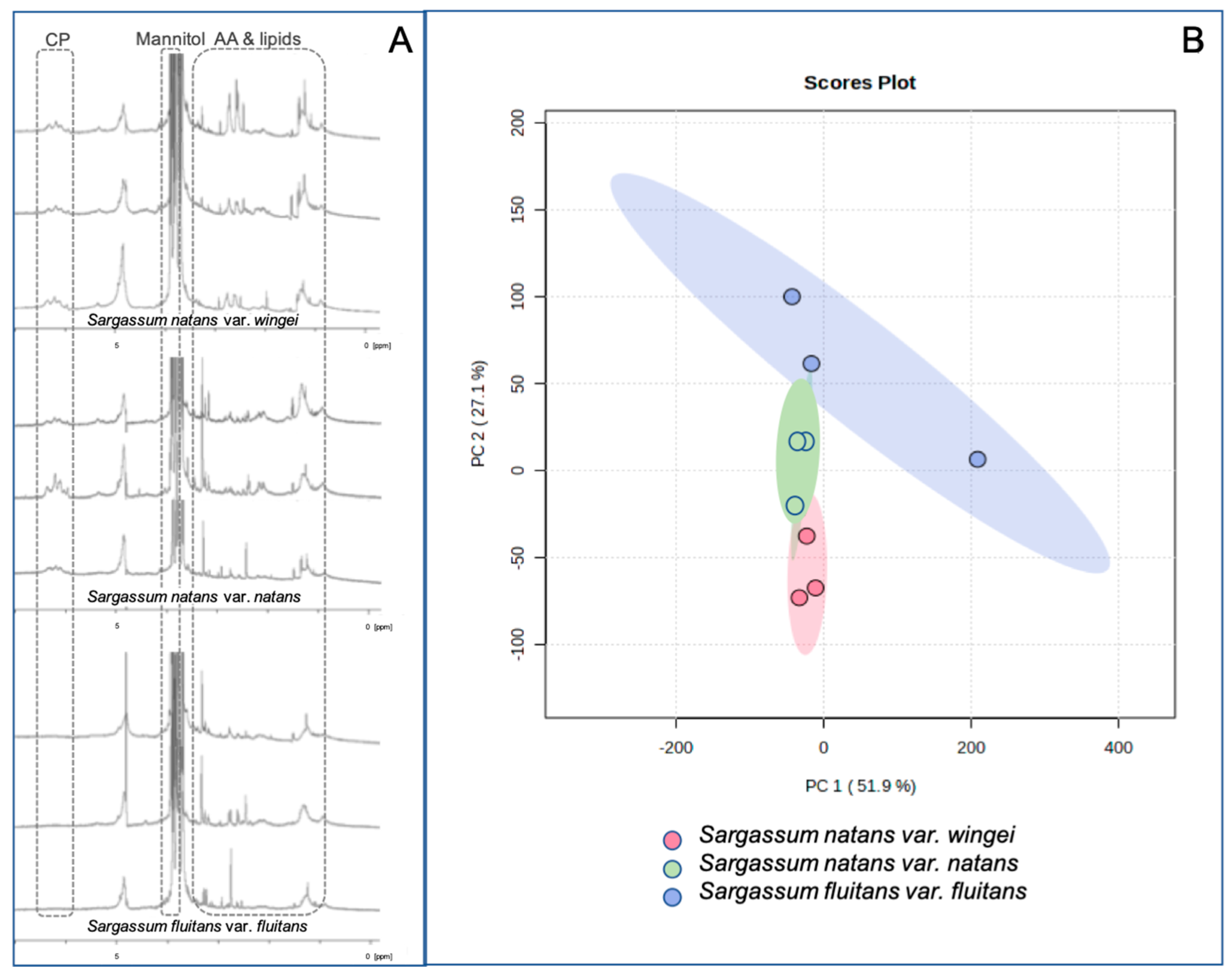 Phycology 04 00018 g003