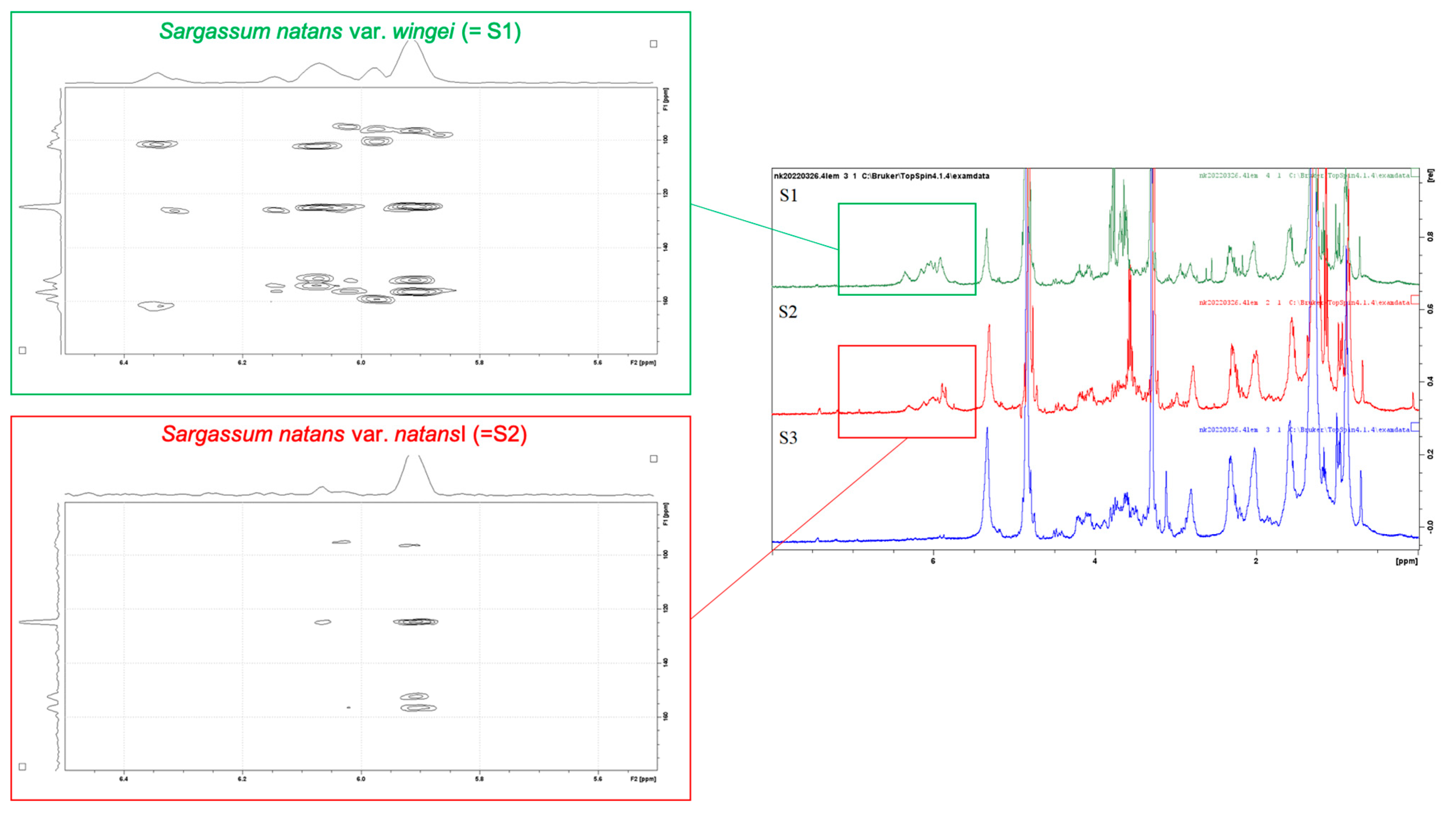 Phycology 04 00018 g006