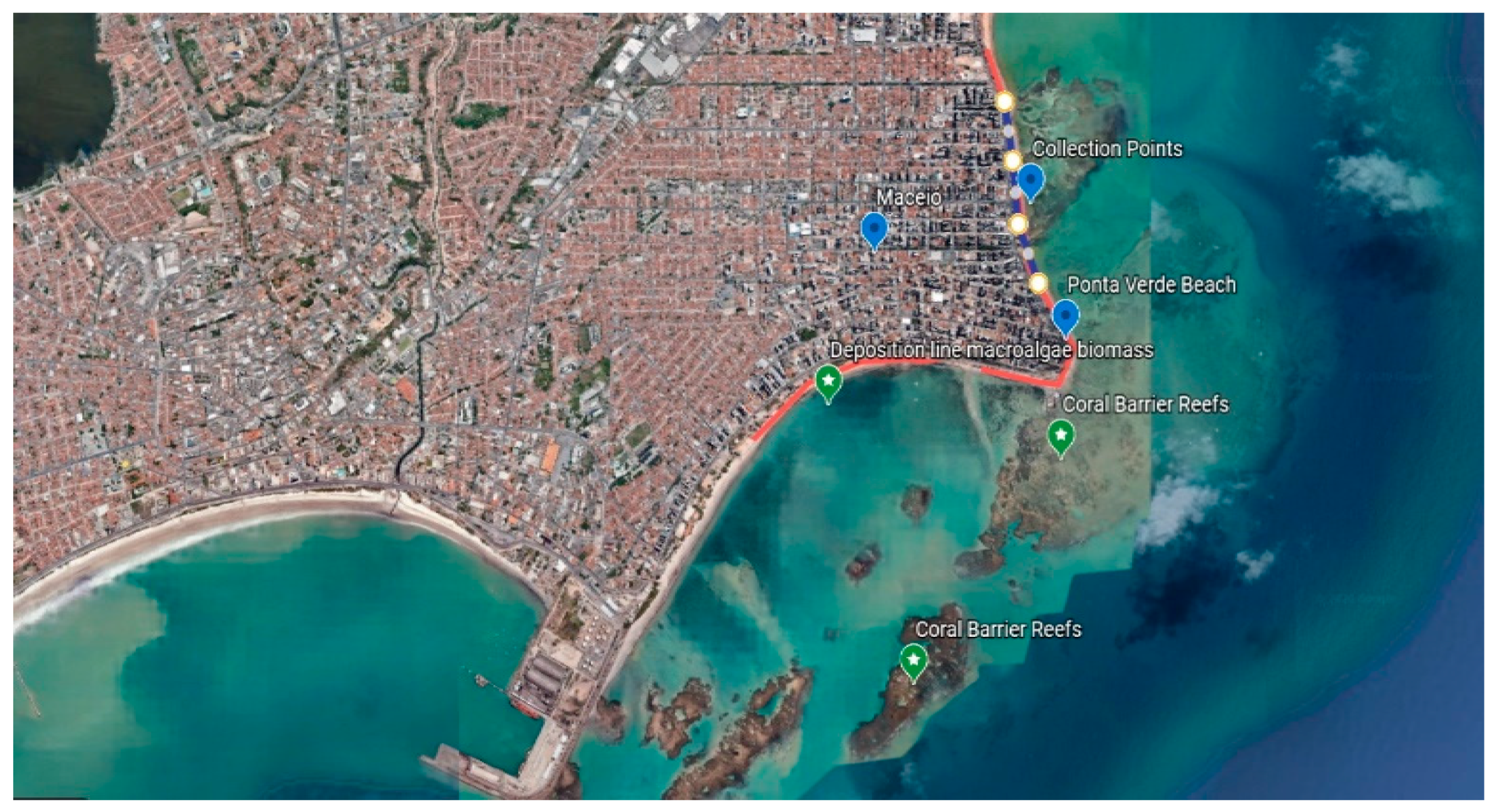 Phycology 04 00022 g008