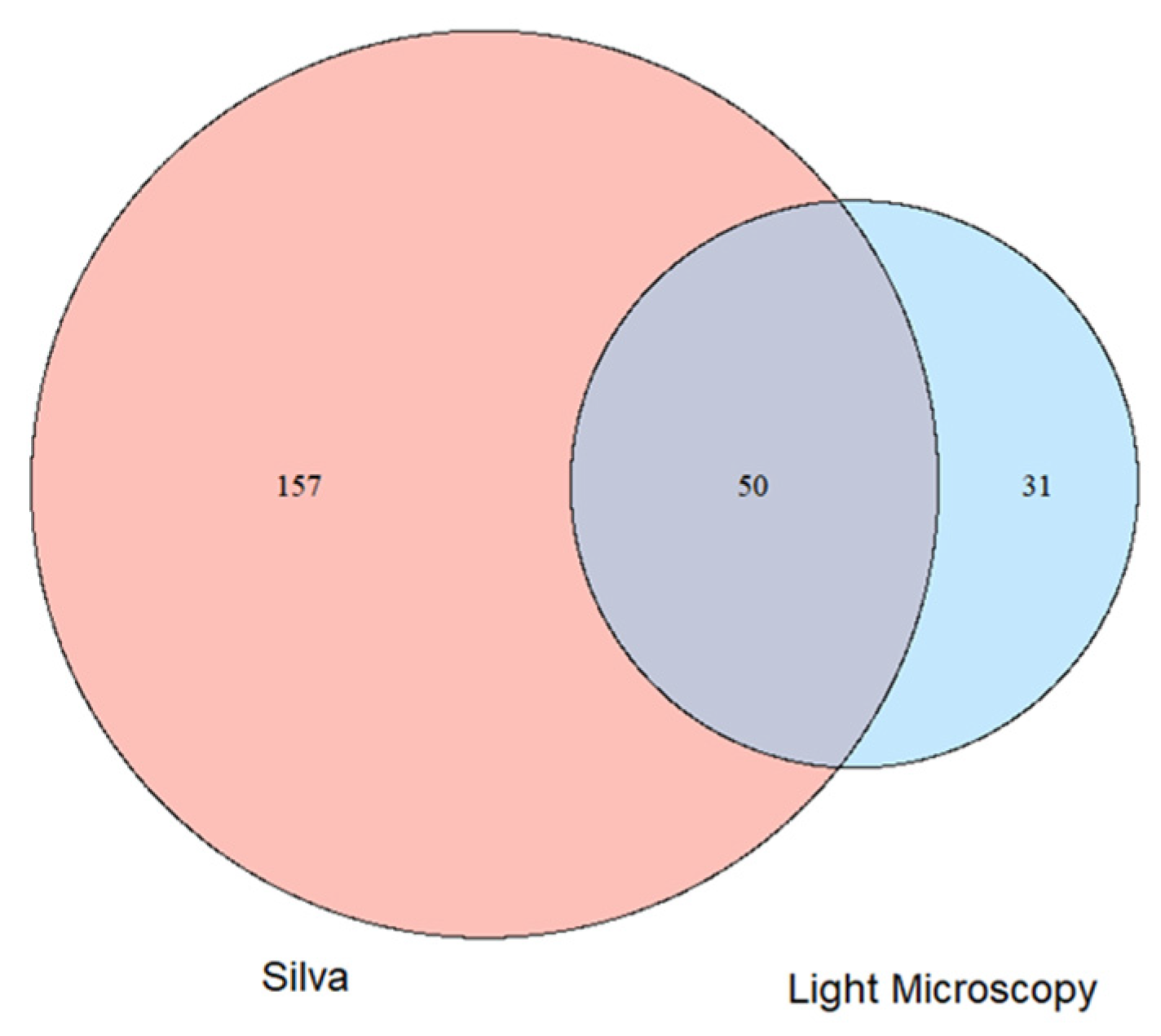 Phycology 04 00023 g005