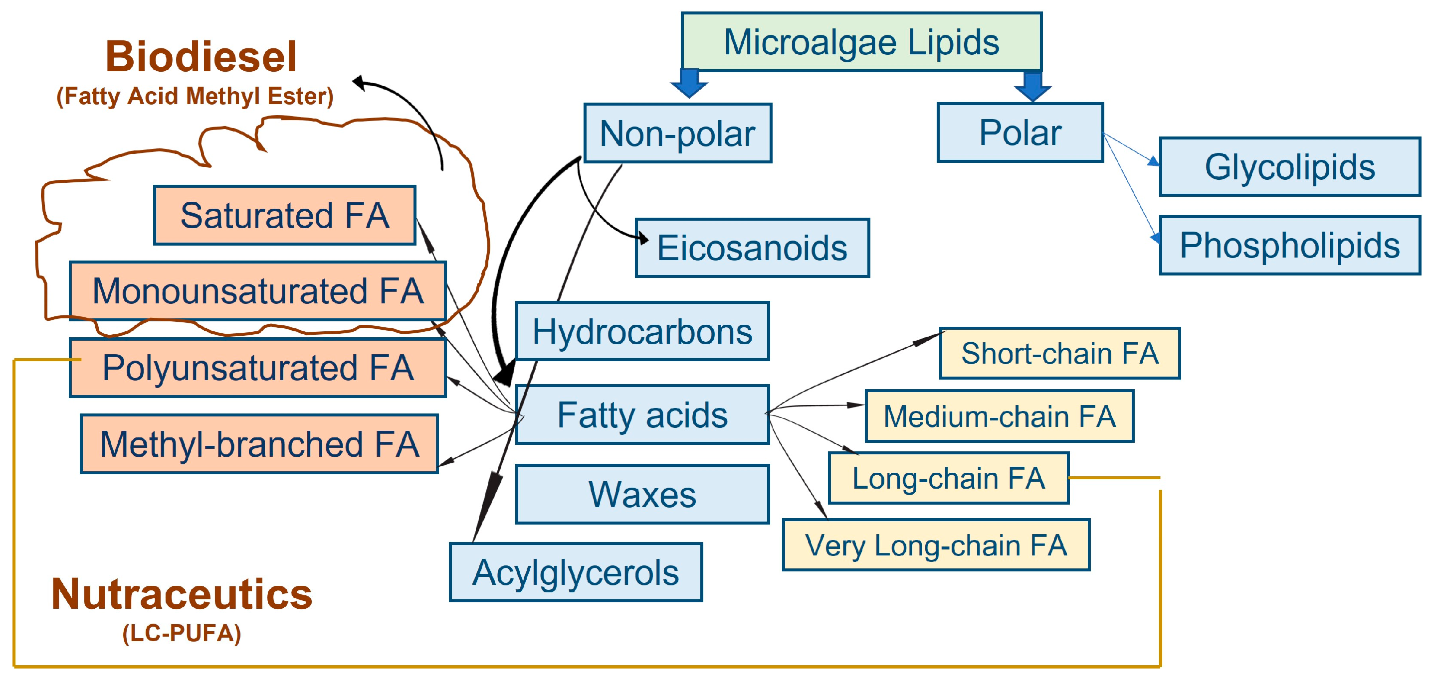Phycology 04 00030 g001