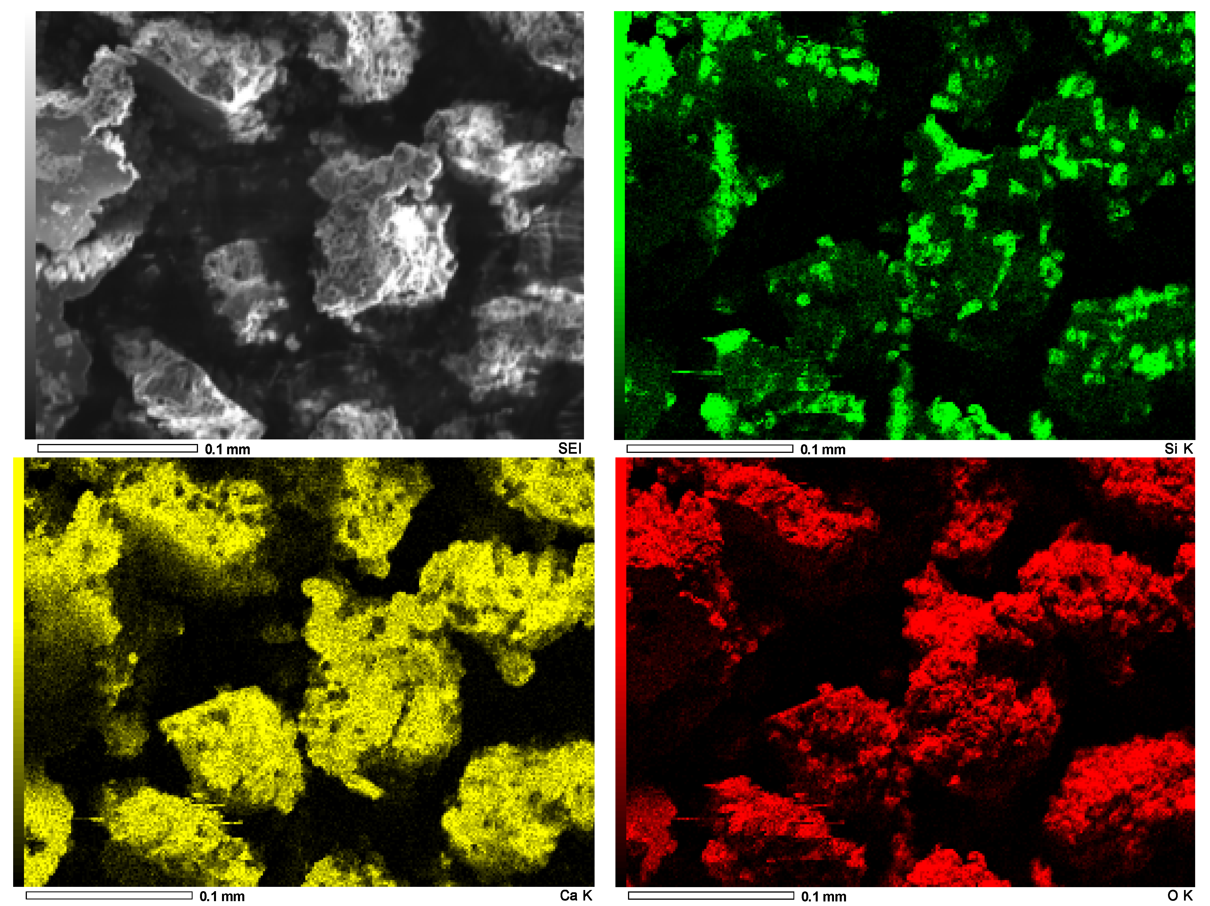 Phycology 05 00003 g008