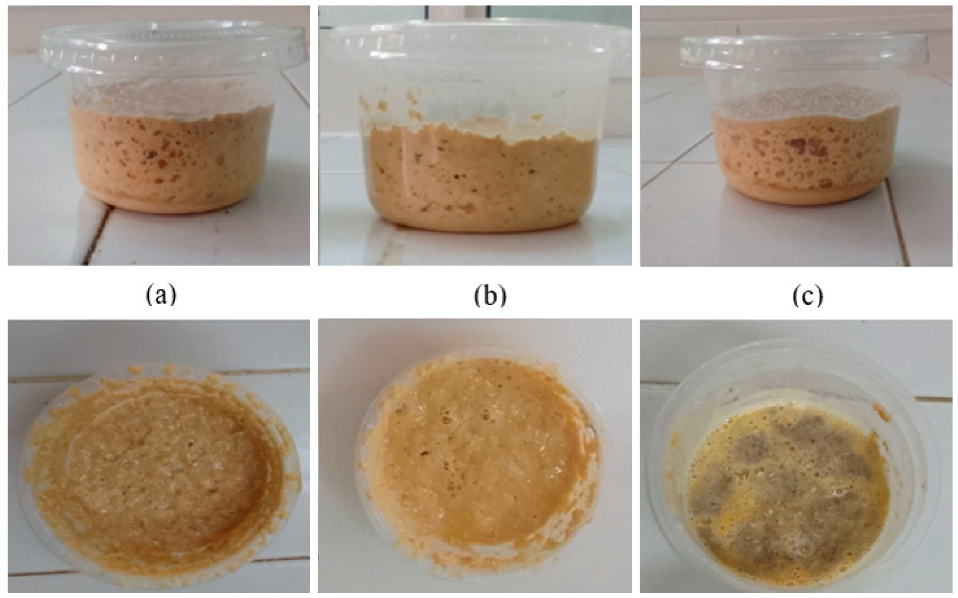 Phycology 05 00007 g002