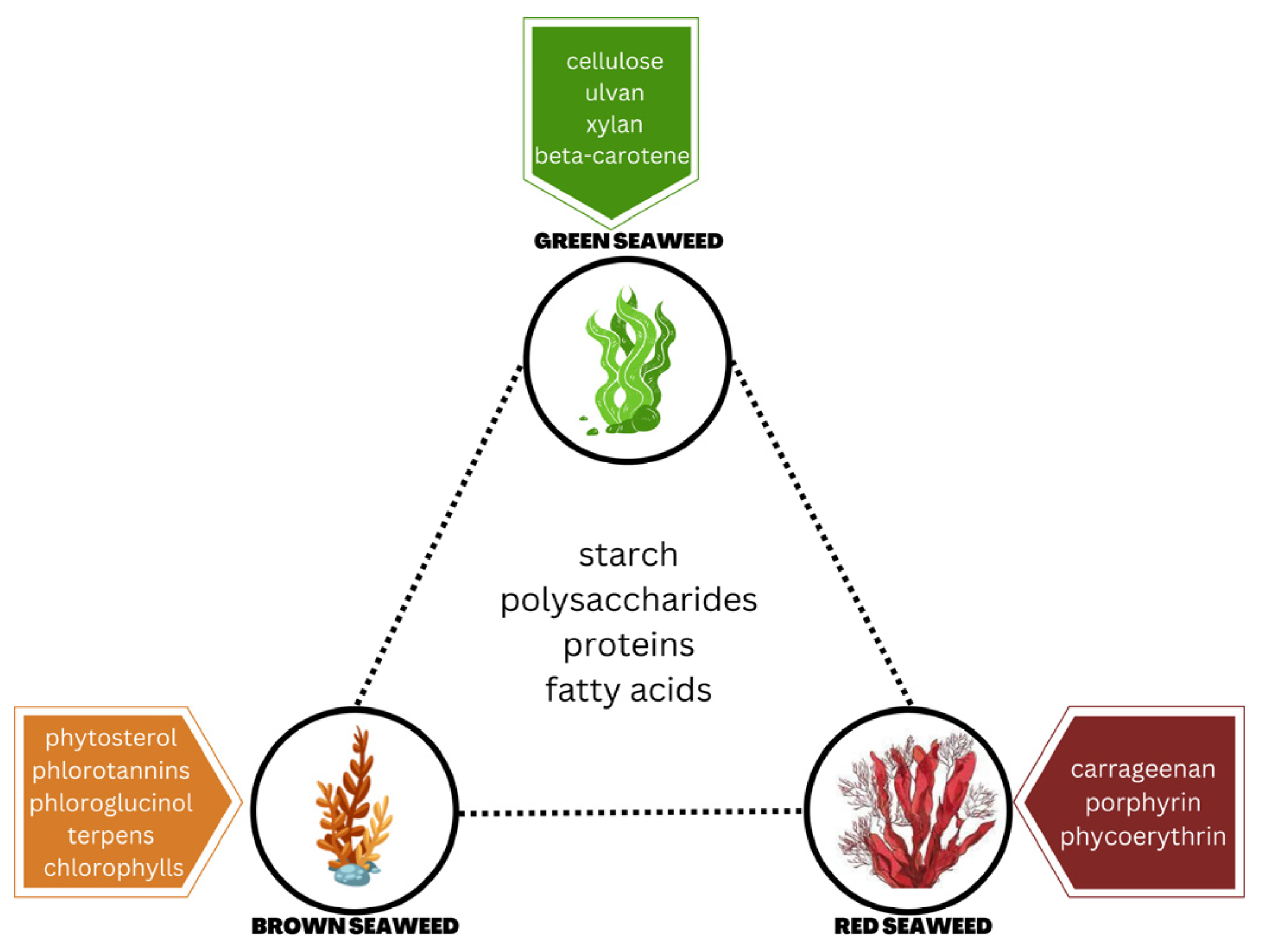 Phycology 05 00010 g004