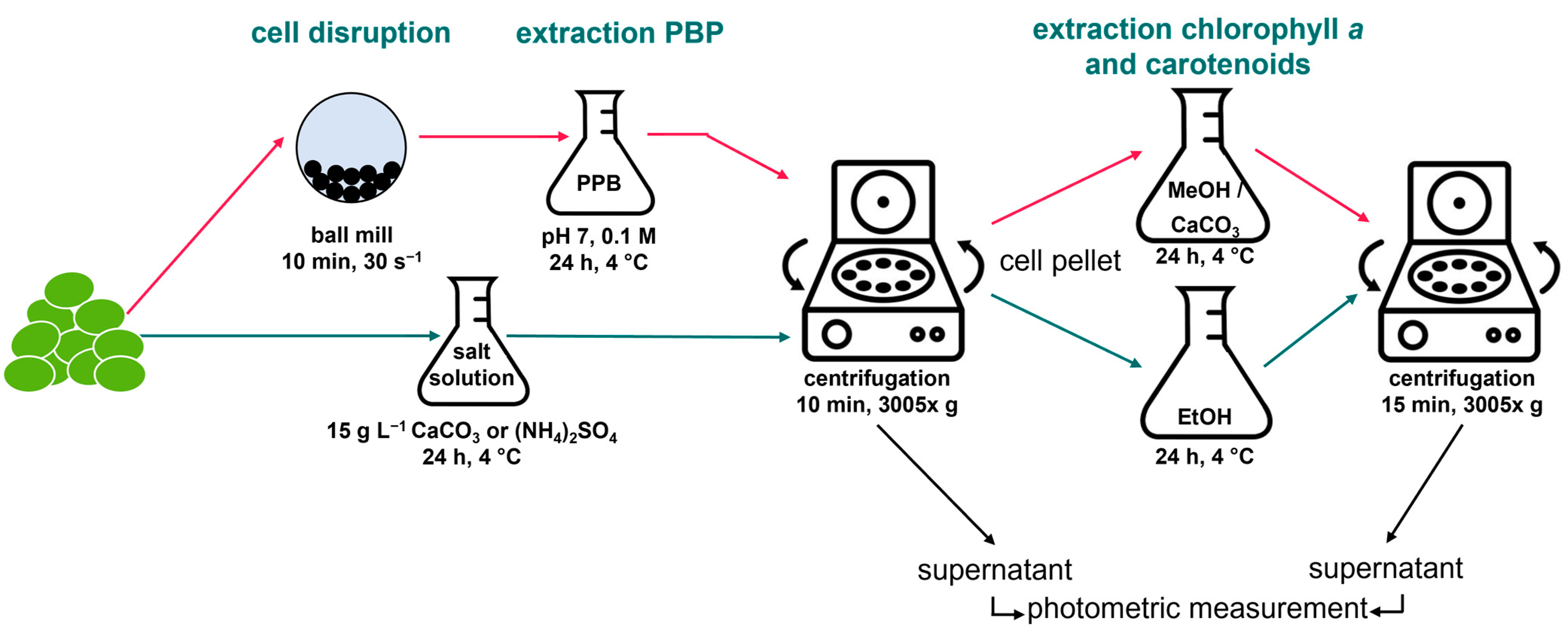 Phycology 05 00011 g001