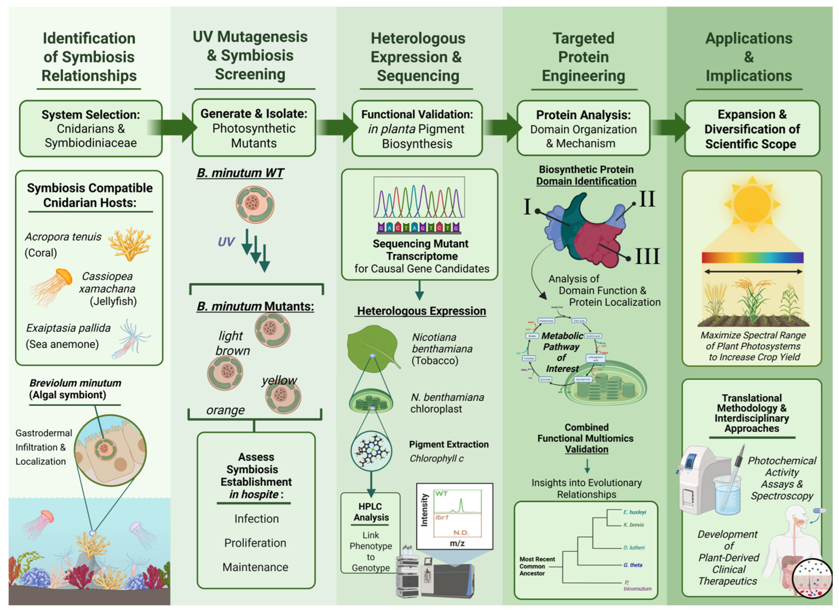 Phycology 05 00014 g003