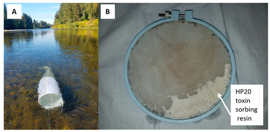 Reservoir and Riverine Sources of Cyanotoxins in Oregon’s Cascade Range ...