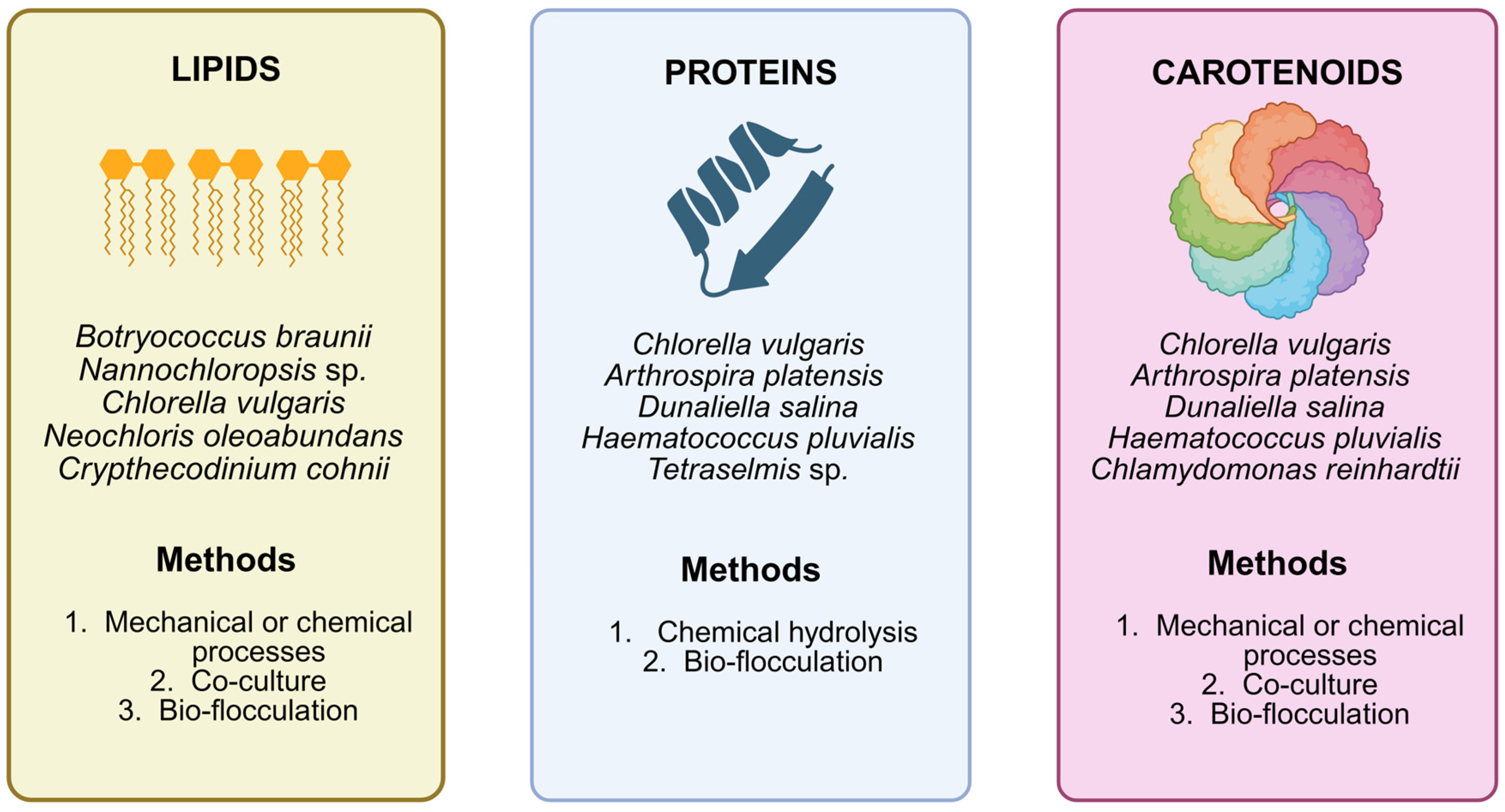 Phycology 05 00019 g002 Phycology 05 00019 g002