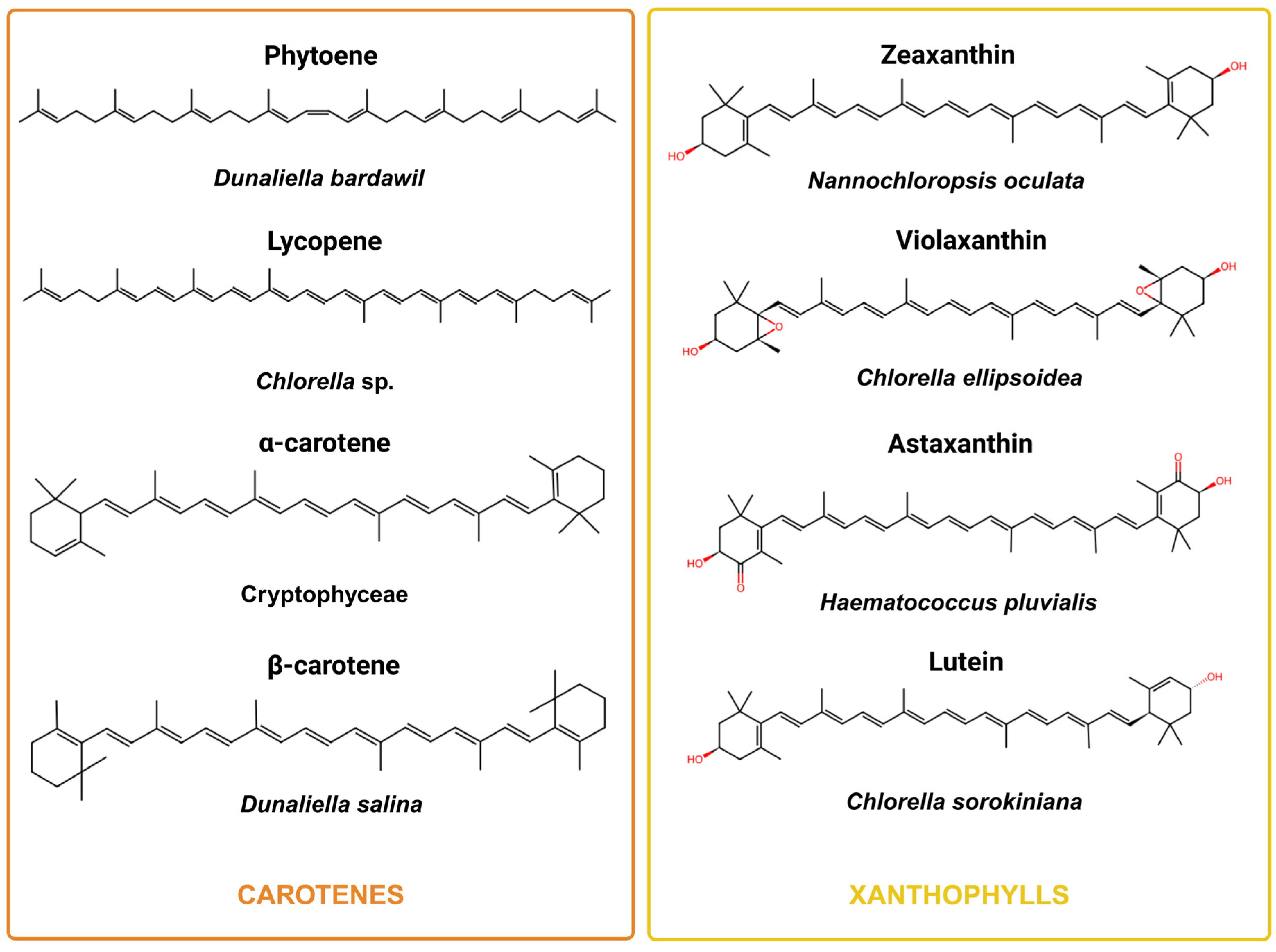 Phycology 05 00019 g004 Phycology 05 00019 g004