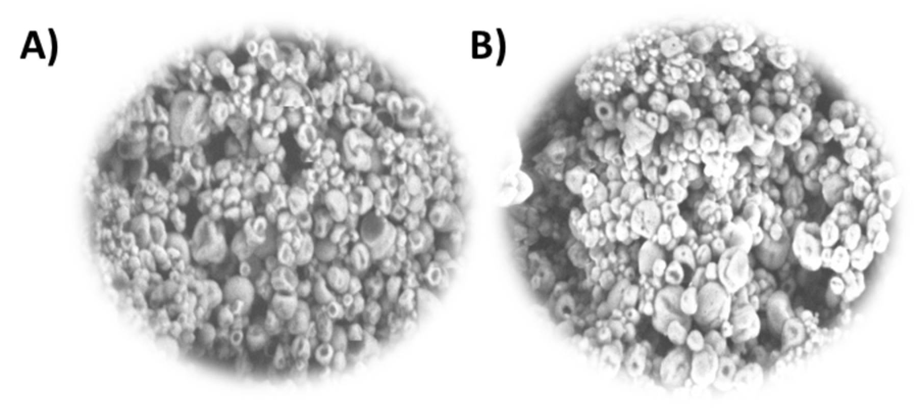 Phycology 05 00051 g005 Phycology 05 00051 g005