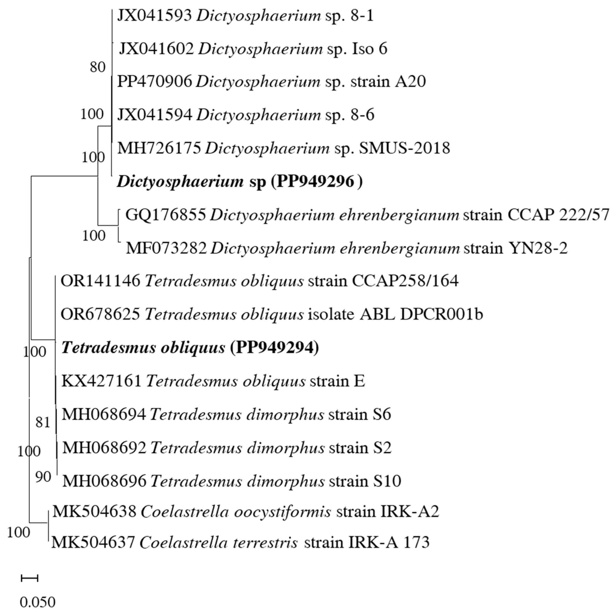 Phycology 05 00053 g002 Phycology 05 00053 g002
