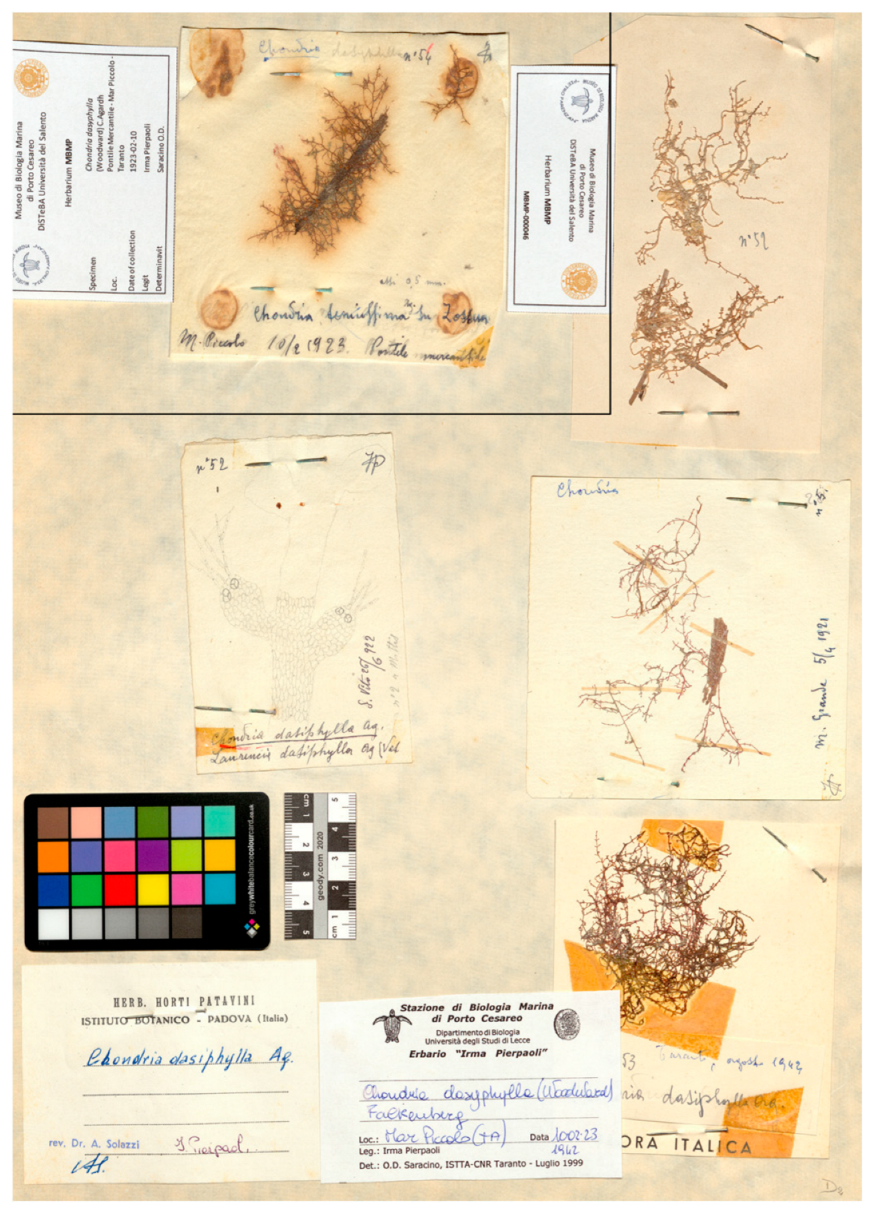 Phycology 05 00067 g002