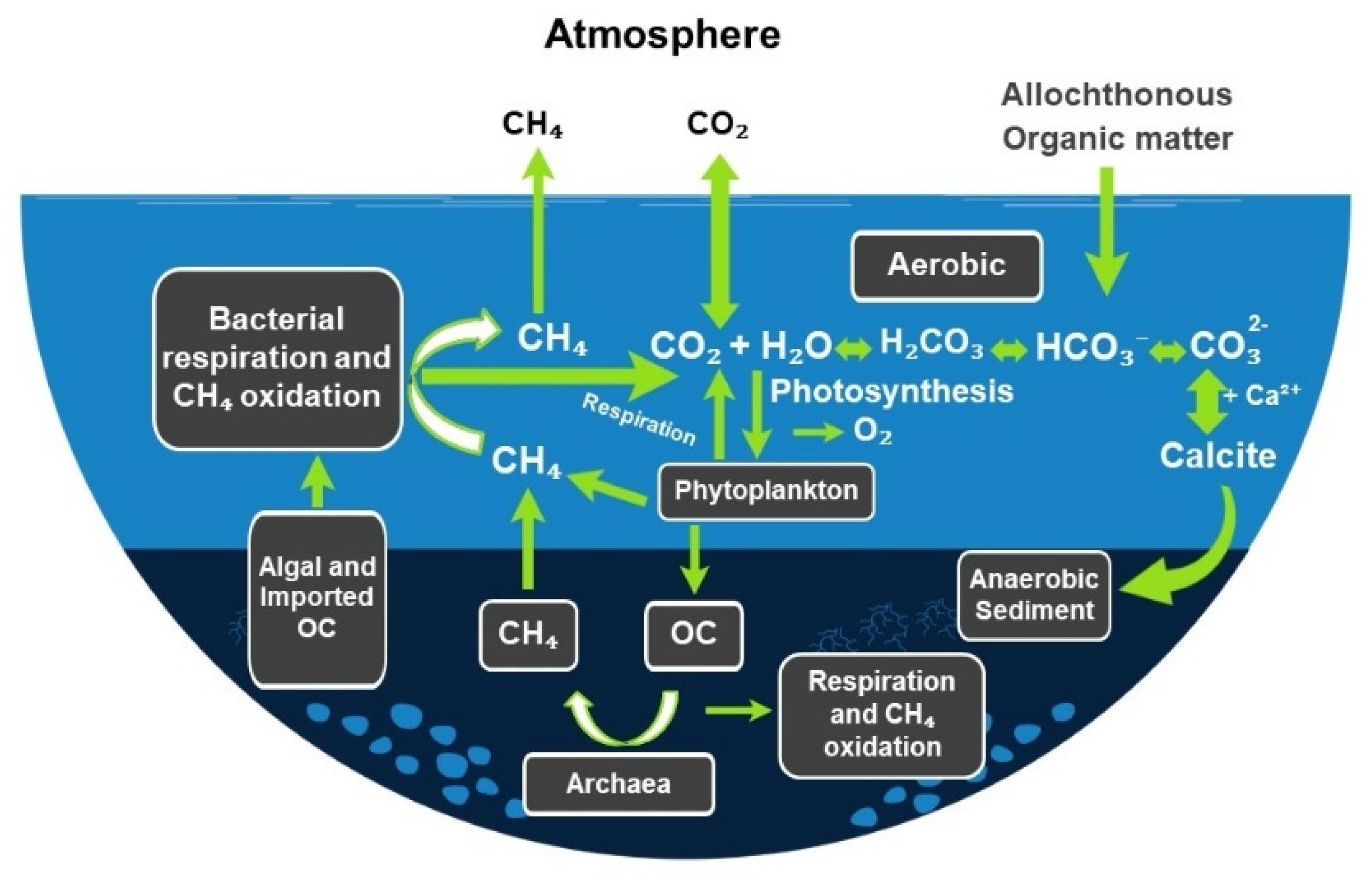 Phycology 05 00076 g001