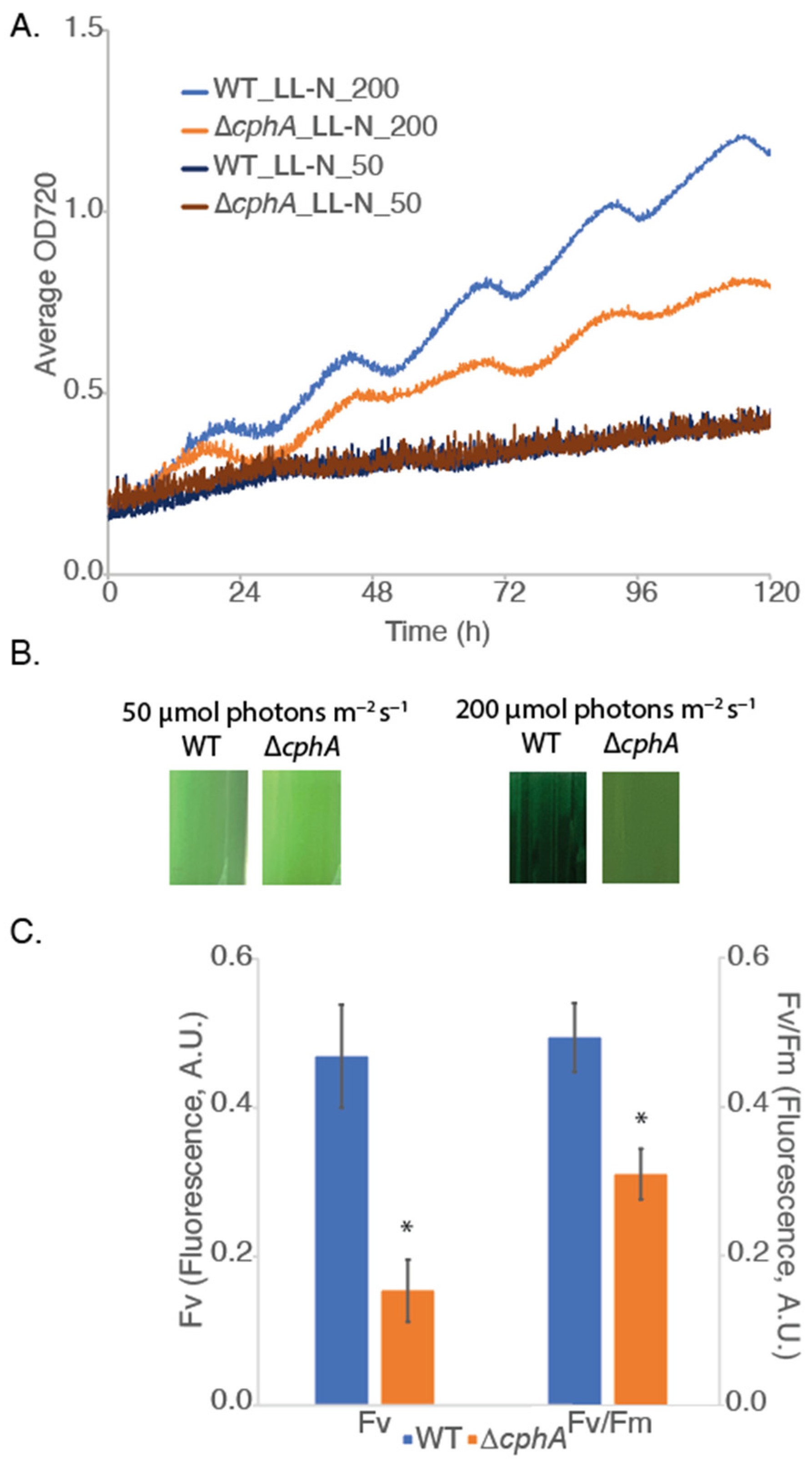 Phycology 05 00077 g002