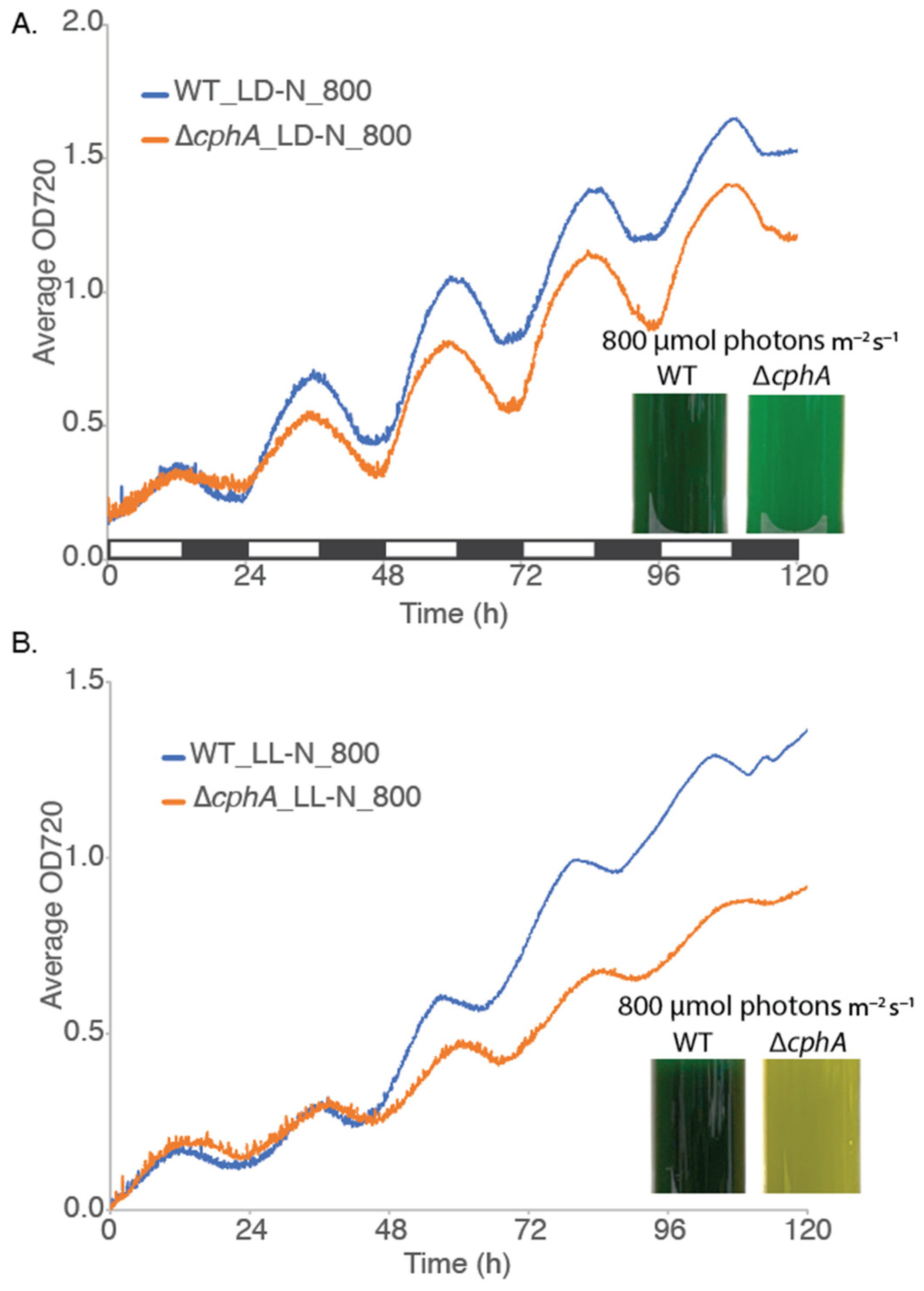 Phycology 05 00077 g003