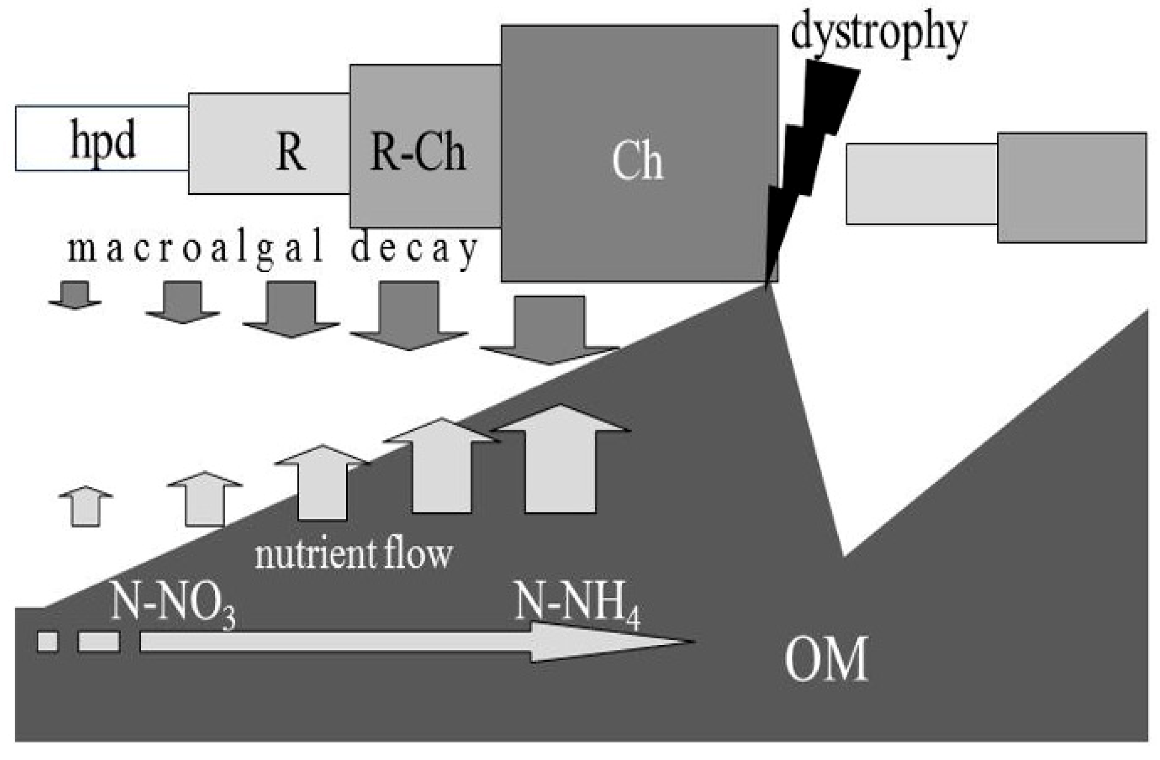 Phycology 05 00078 g001
