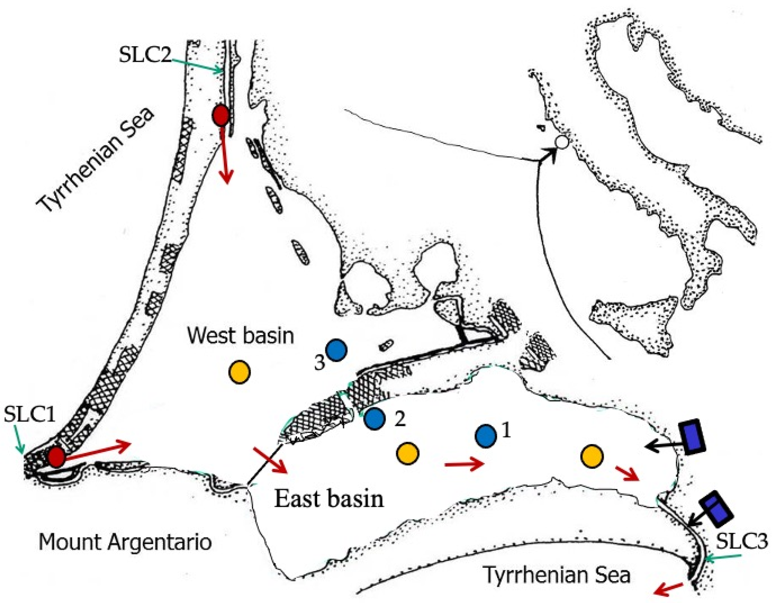 Phycology 05 00078 g002