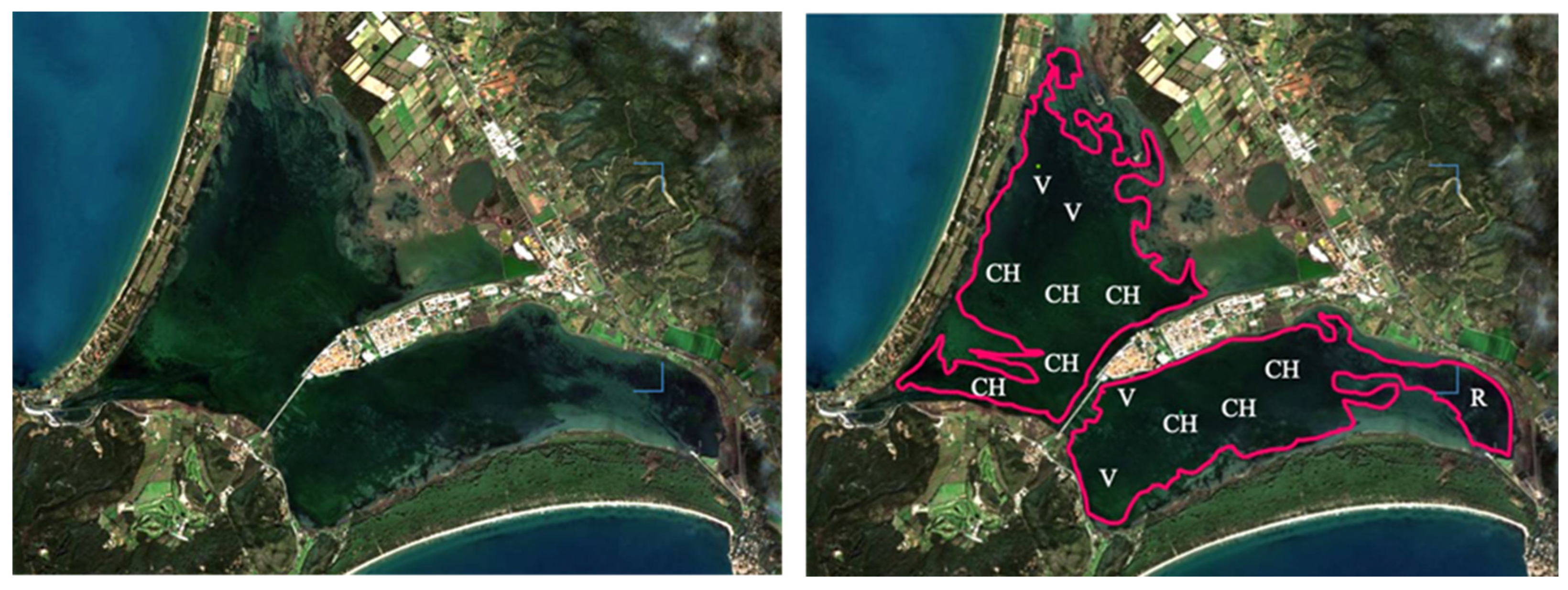 Phycology 05 00078 g003