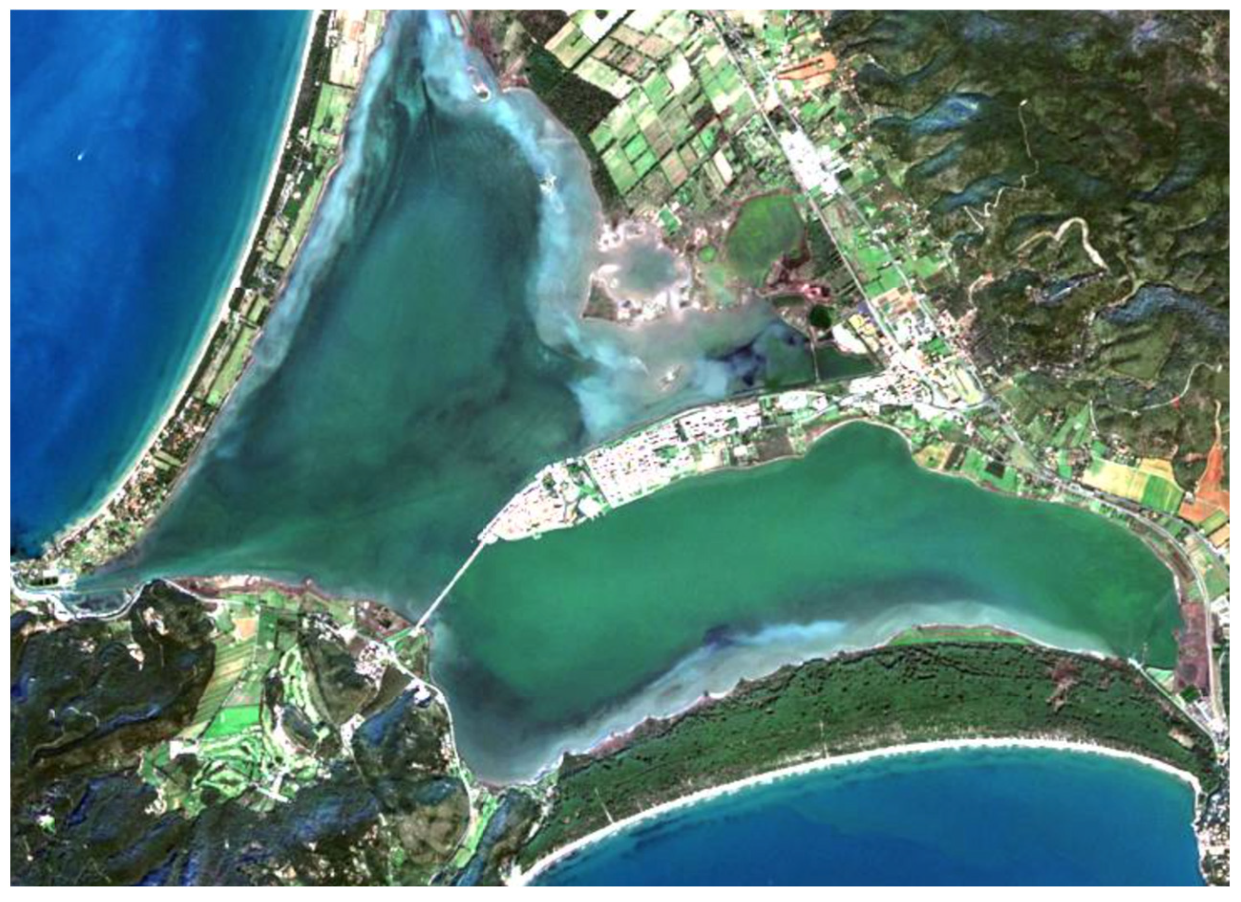 Phycology 05 00078 g004