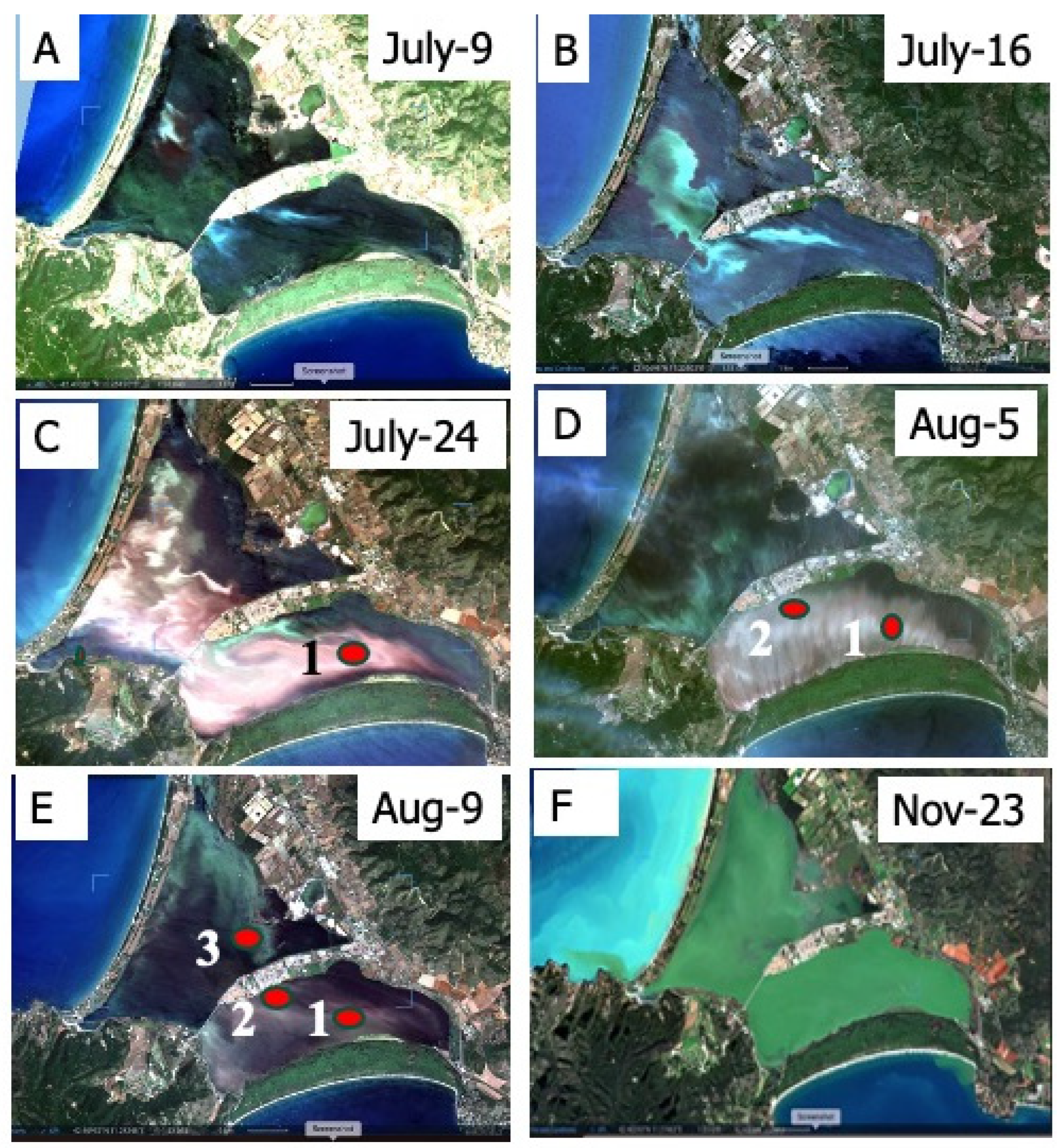 Phycology 05 00078 g008