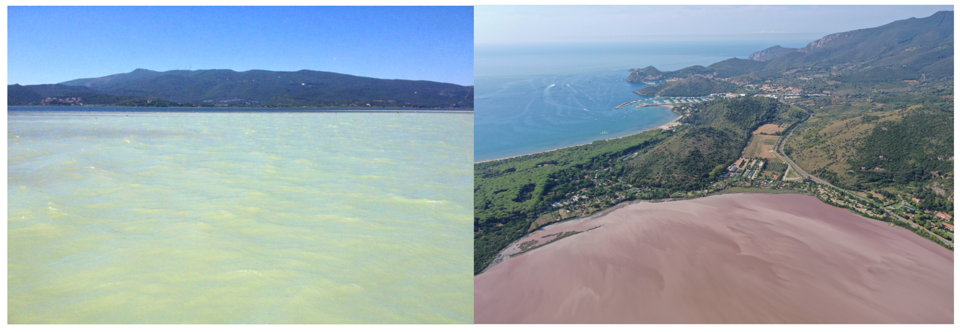 Phycology 05 00078 g012