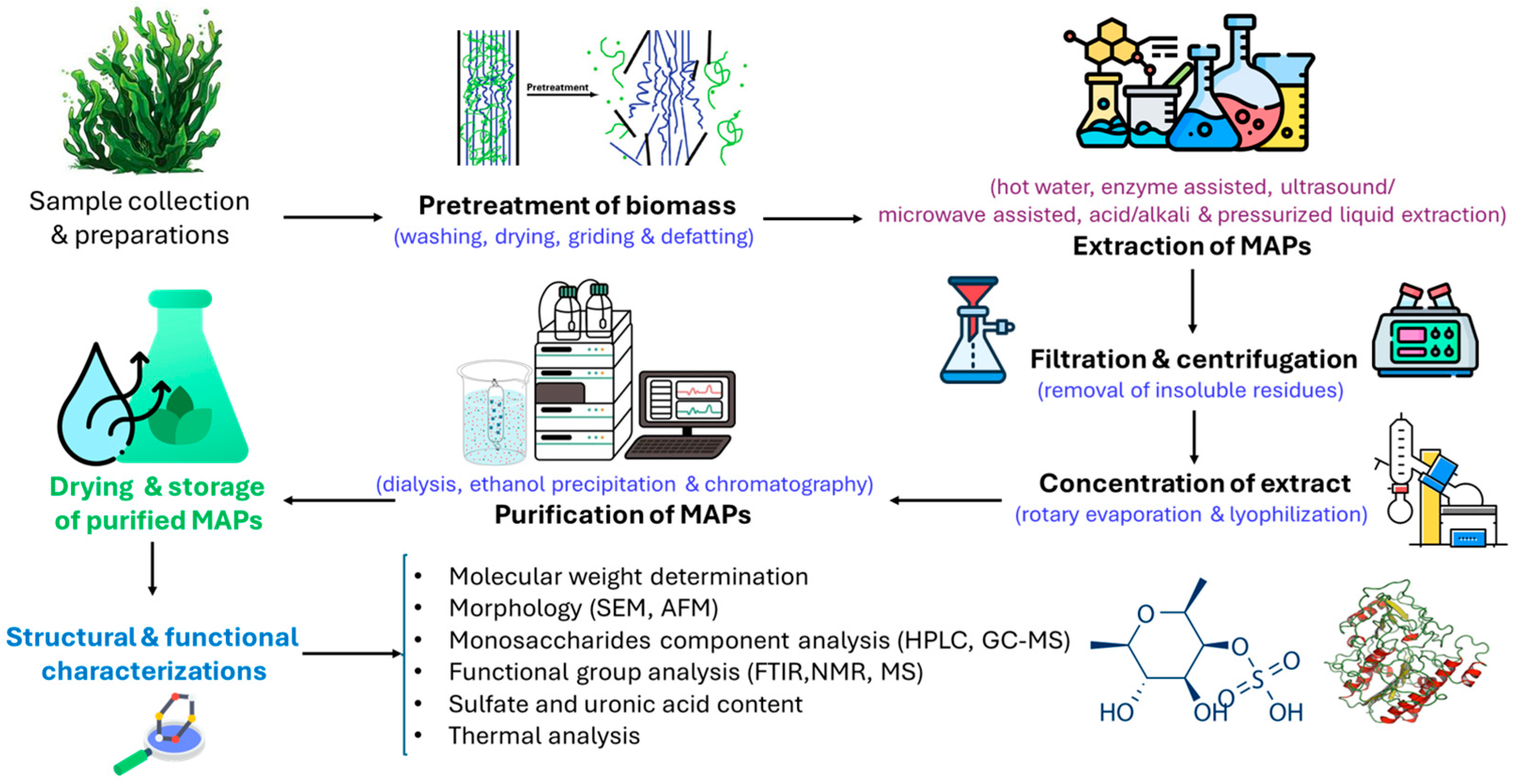 Phycology 05 00080 g002