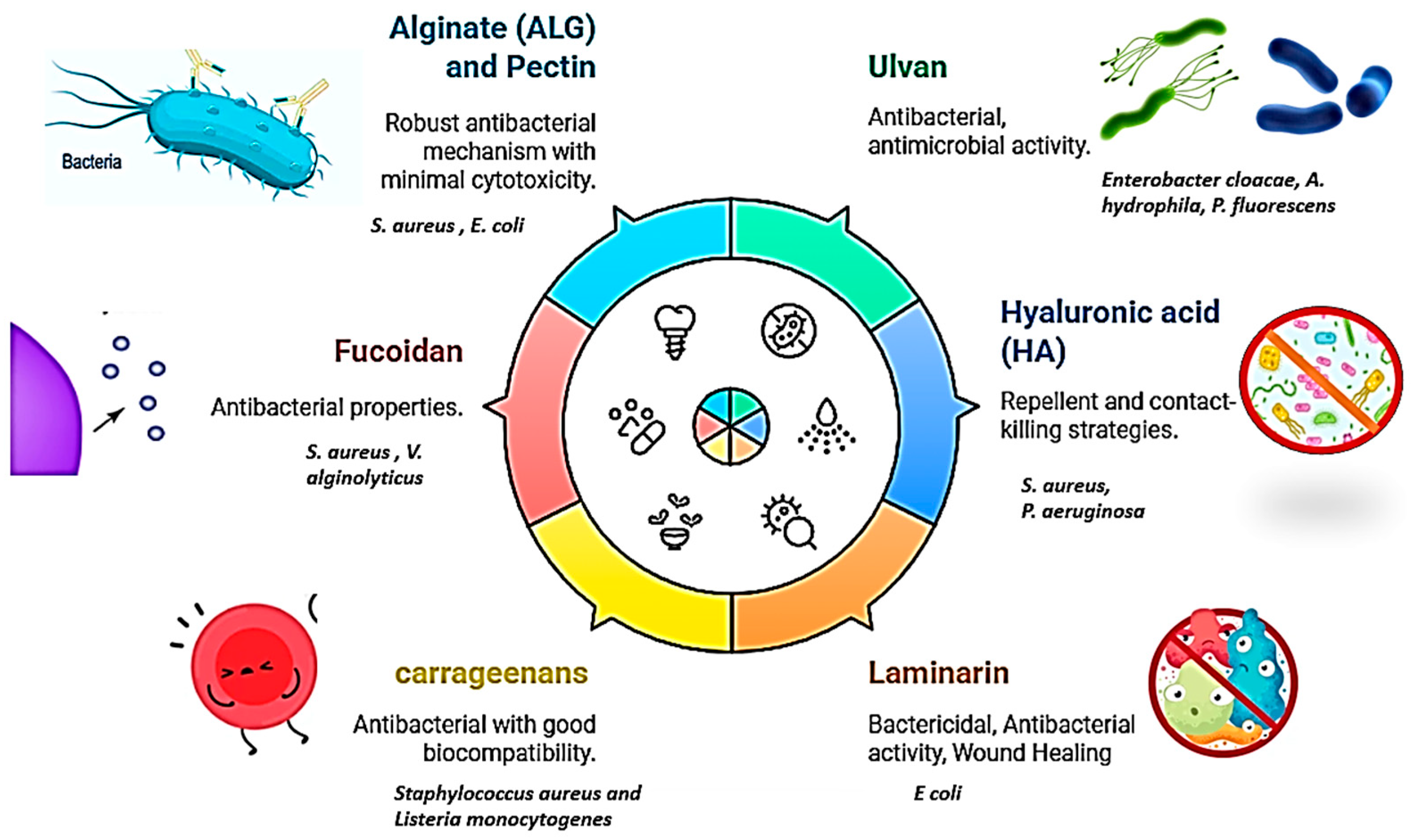 Phycology 05 00080 g004