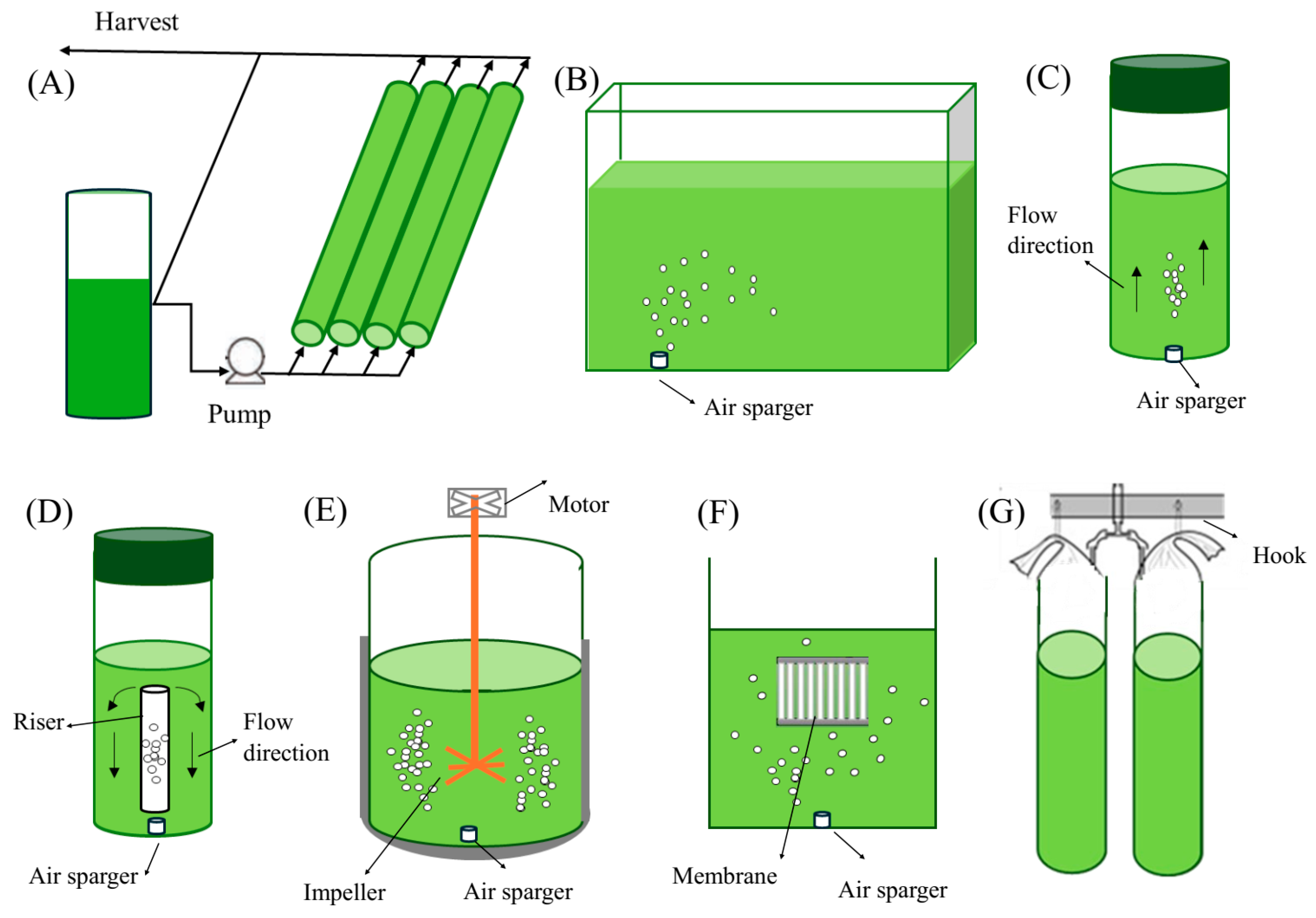 Phycology 05 00081 g002