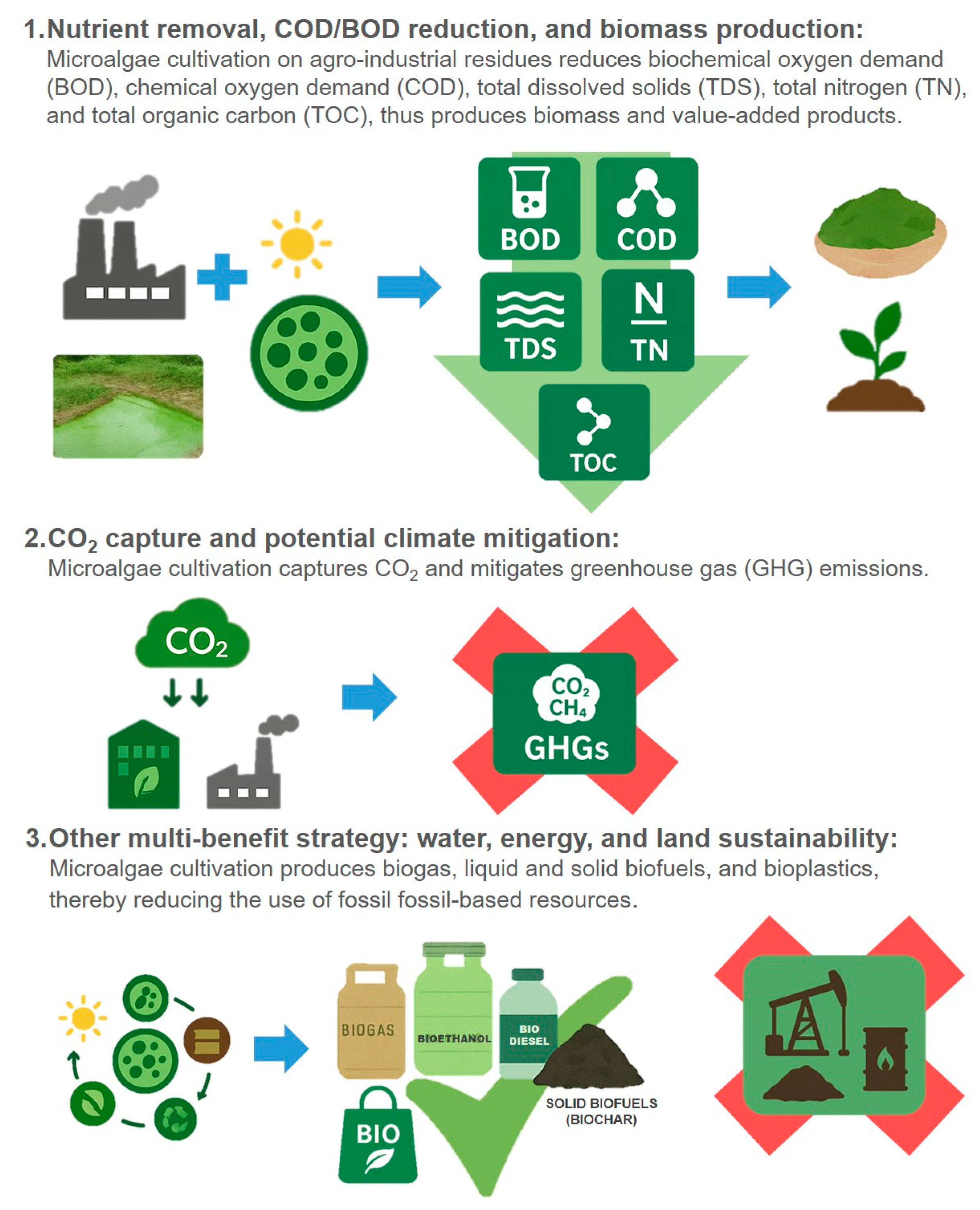Phycology 05 00081 g003