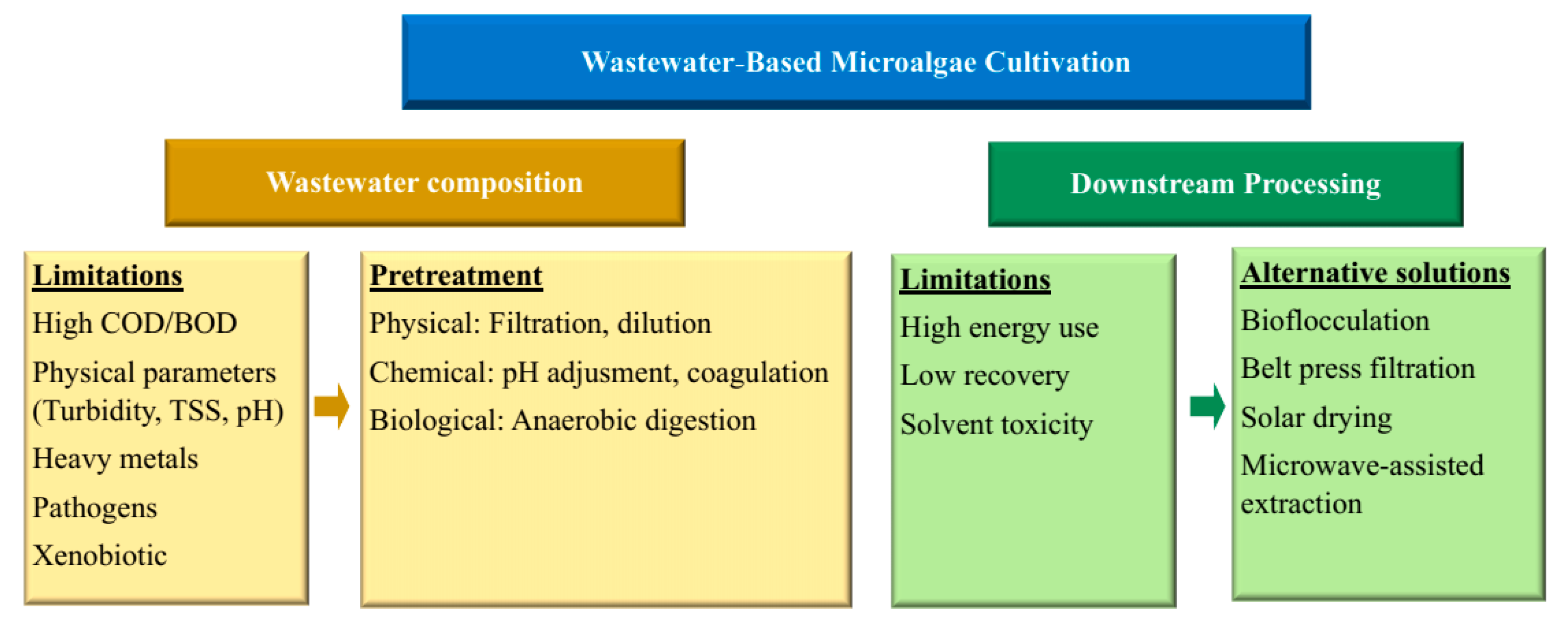 Phycology 05 00081 g004