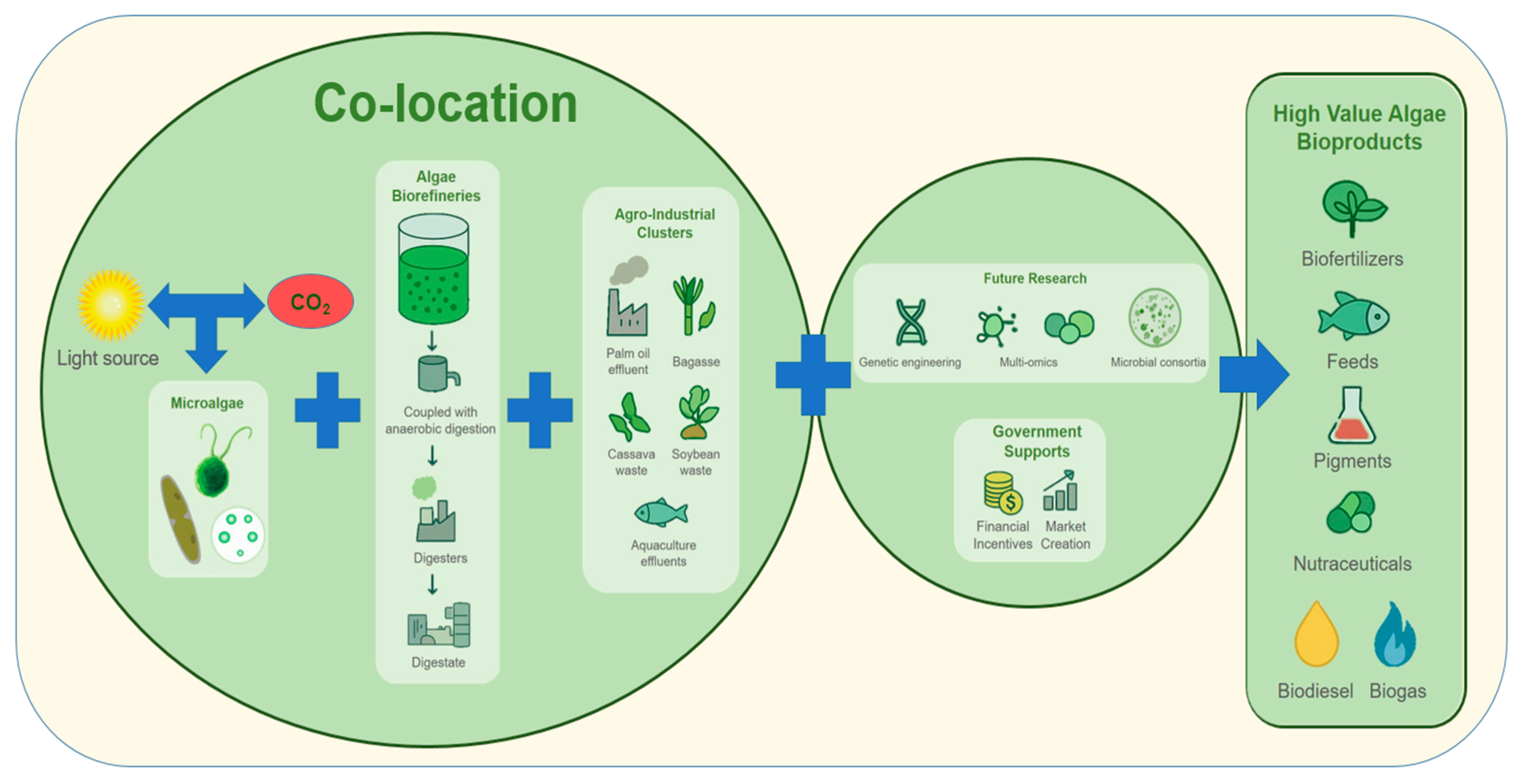 Phycology 05 00081 g005
