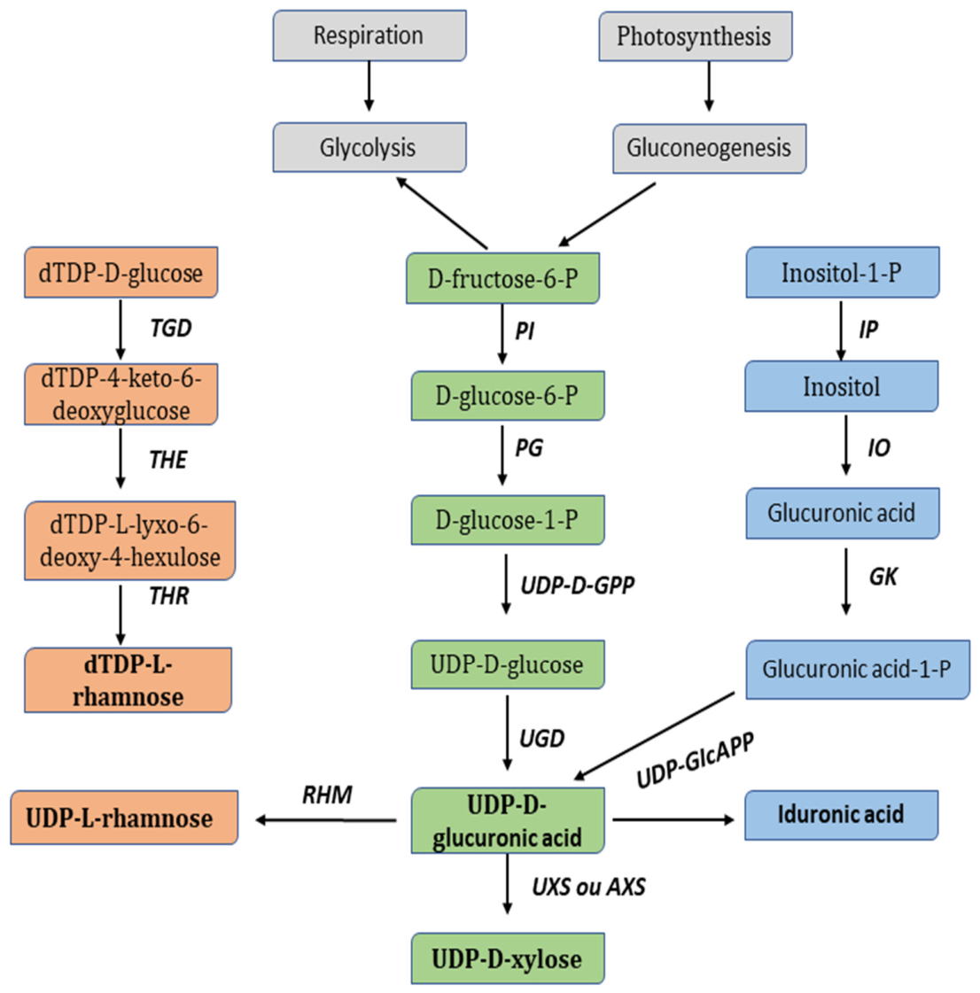 Phycology 06 00051 g003 Phycology 06 00051 g003