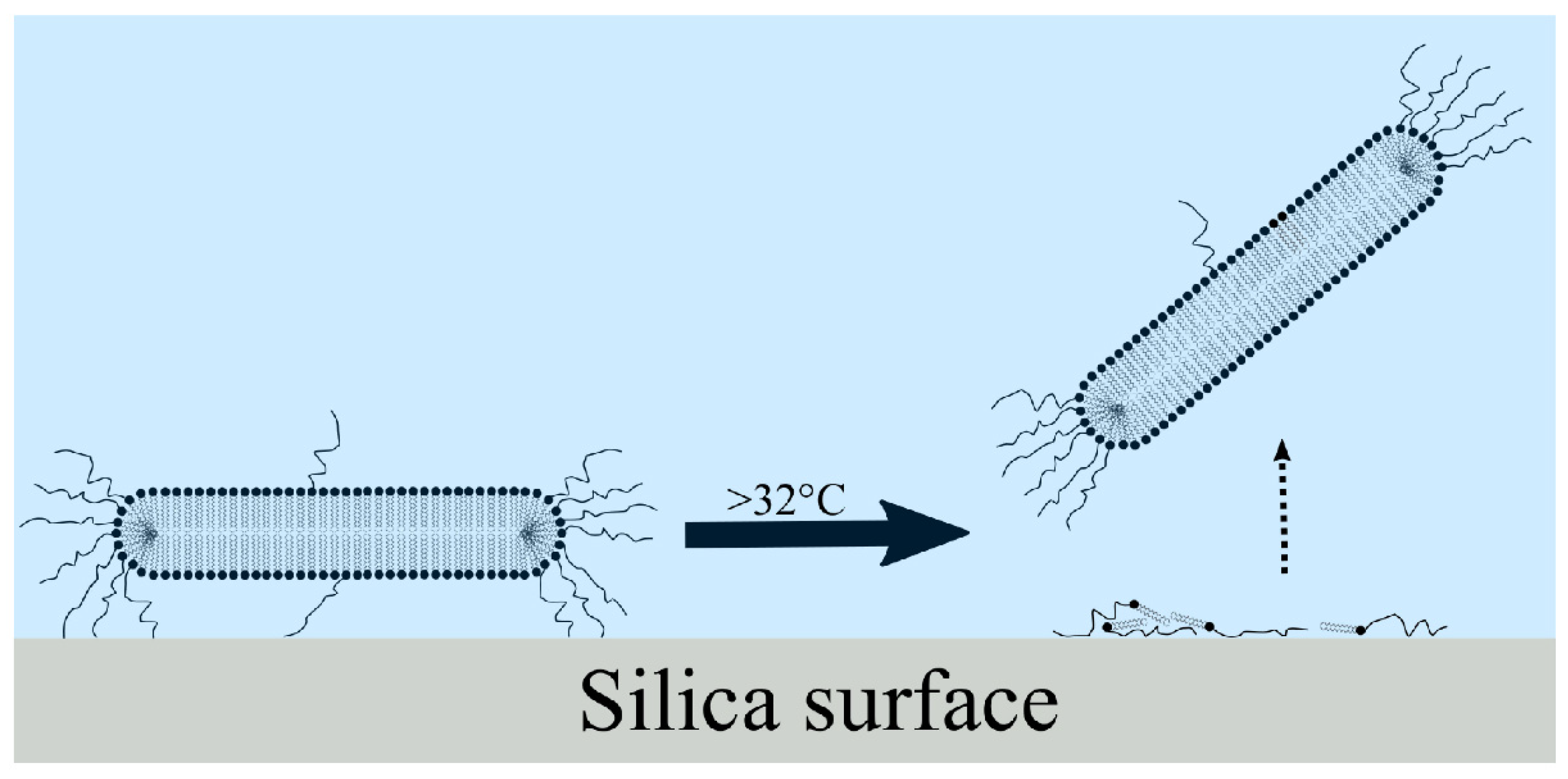 Physchem 01 00009 g004