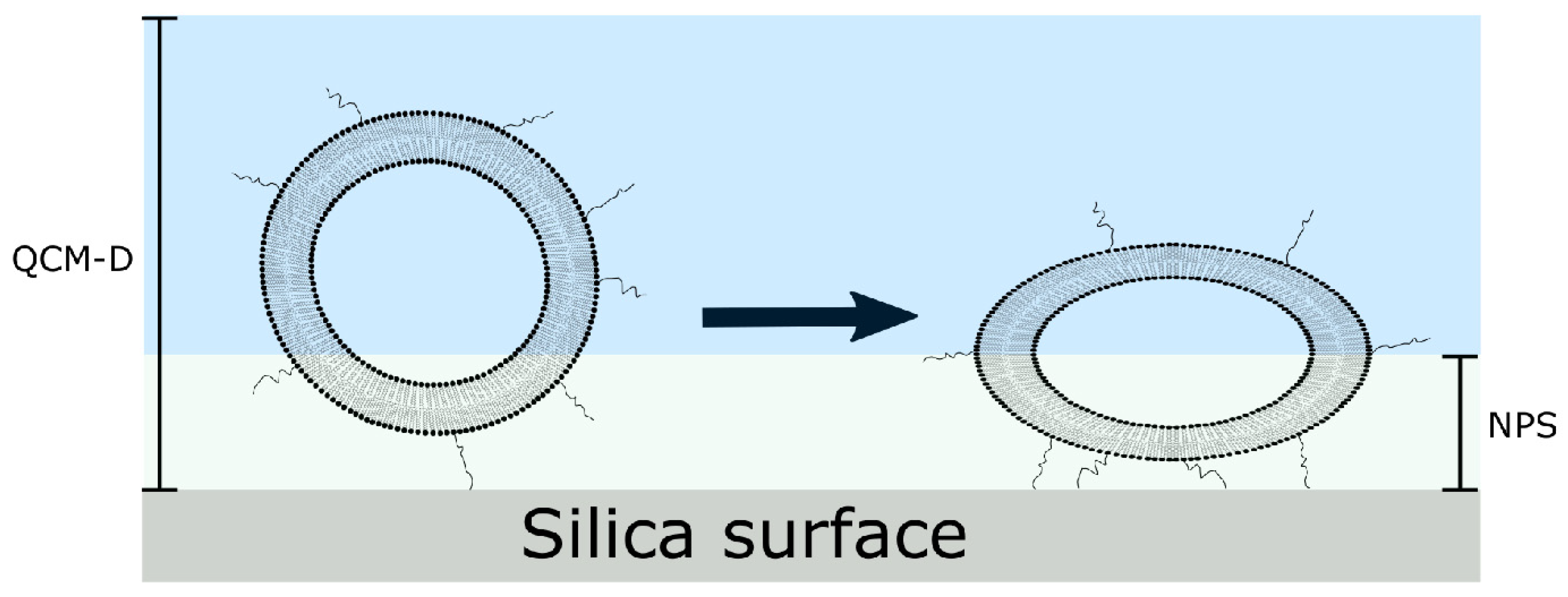 Physchem 01 00009 g015