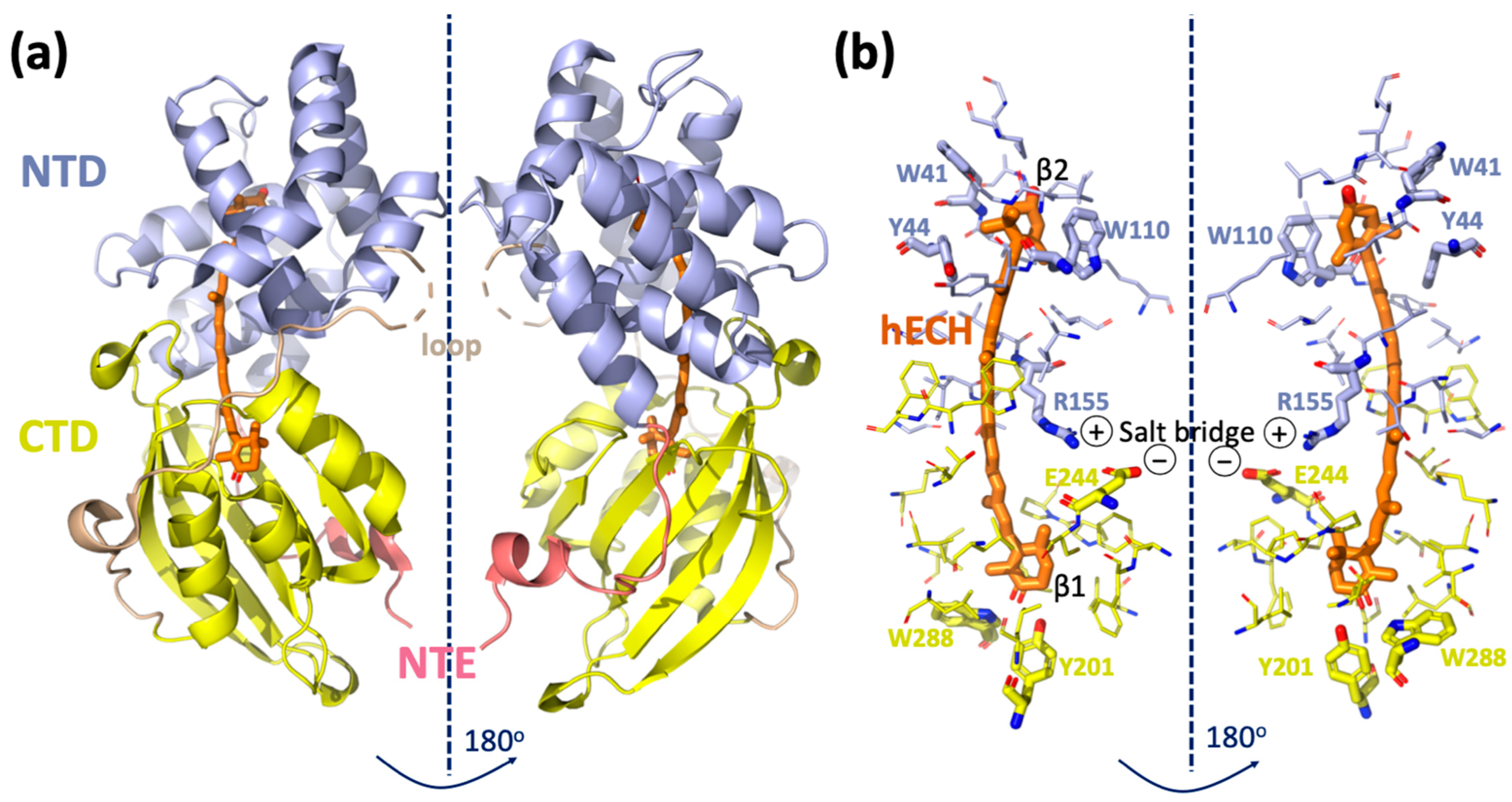 Physchem 02 00017 g001