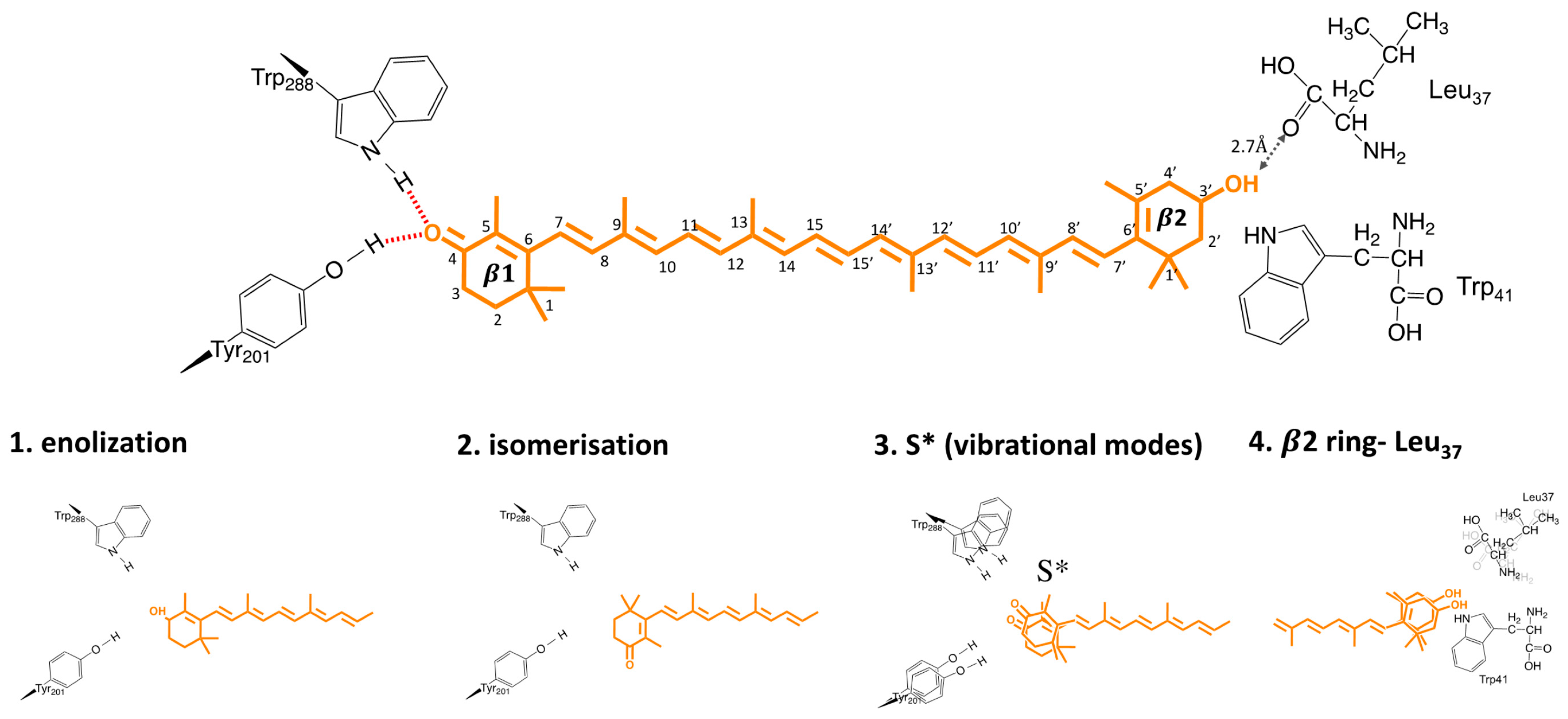 Physchem 02 00017 g007