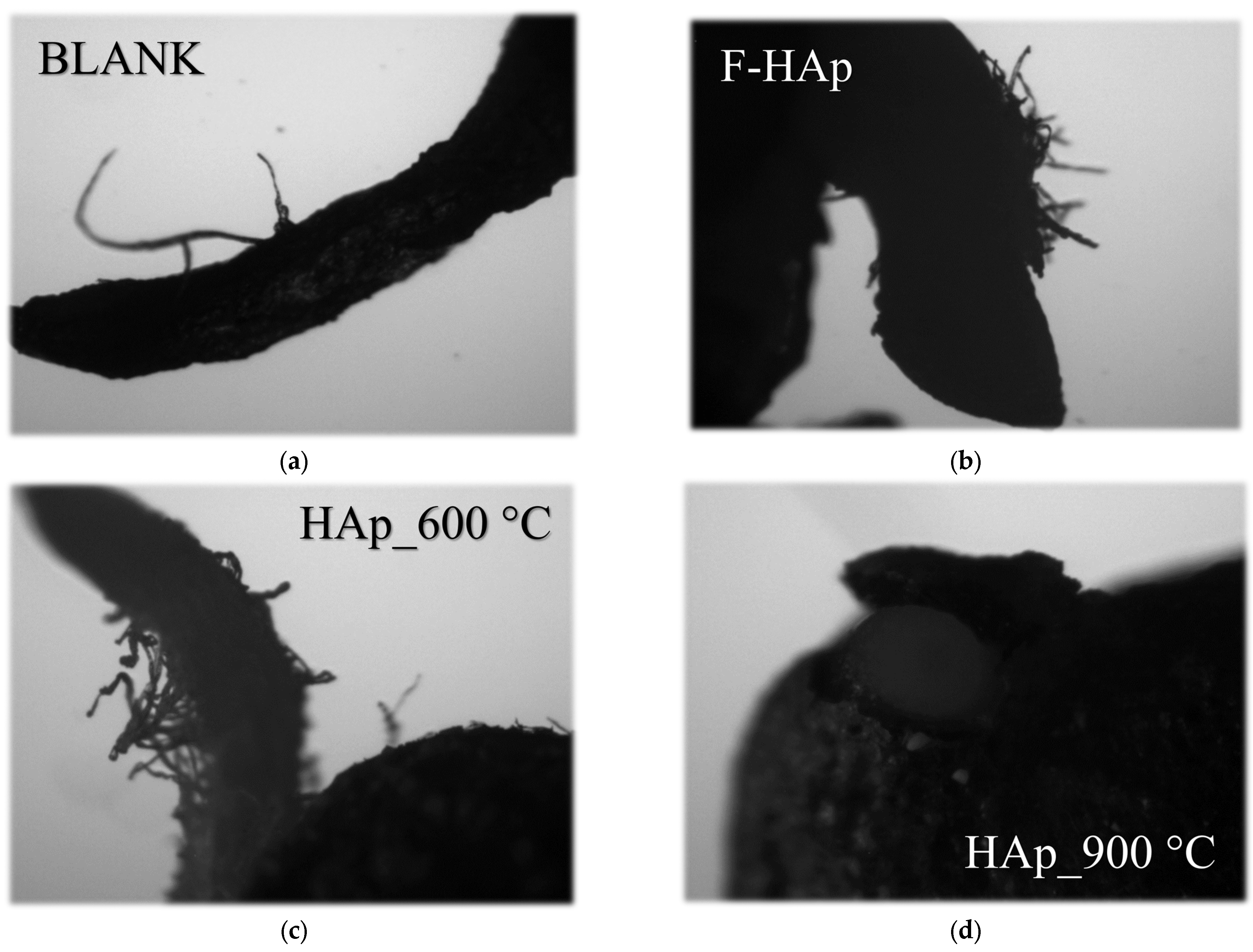 Physchem 03 00004 g013 Physchem 03 00004 g013