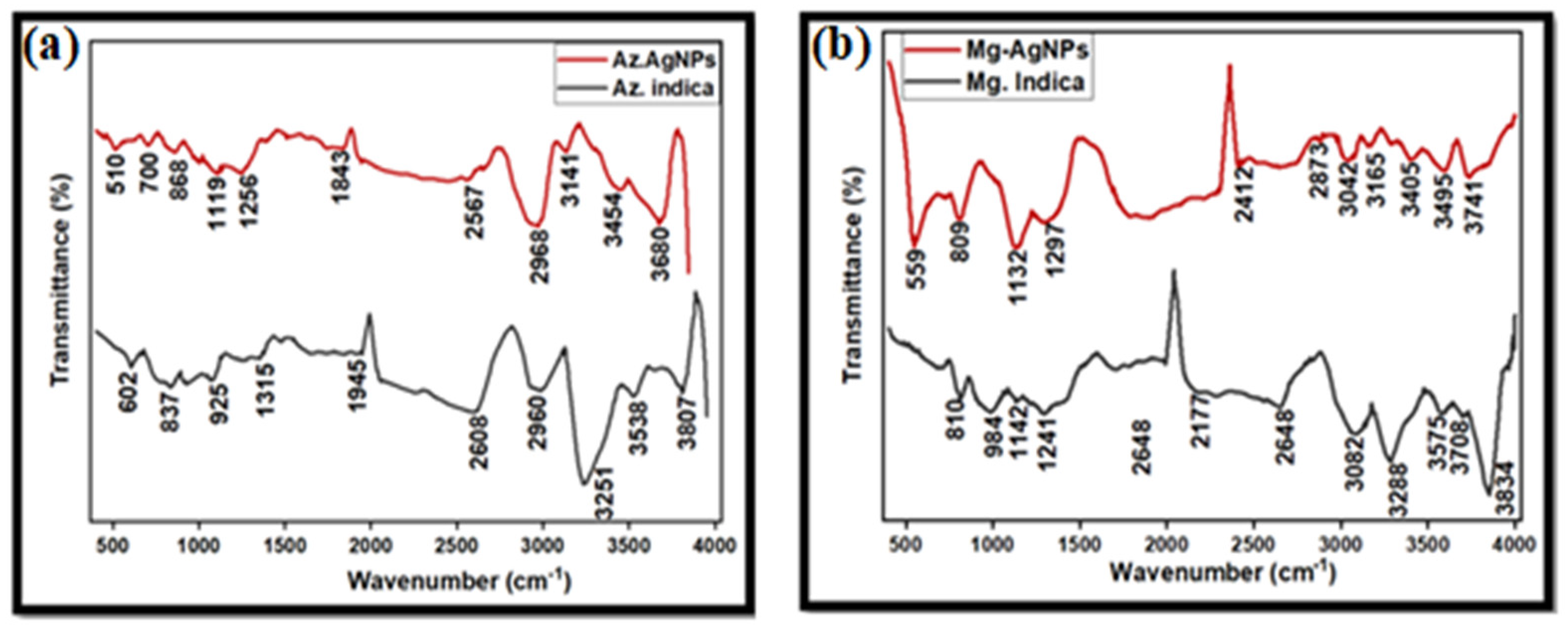 Physchem 03 00010 g010 Physchem 03 00010 g010