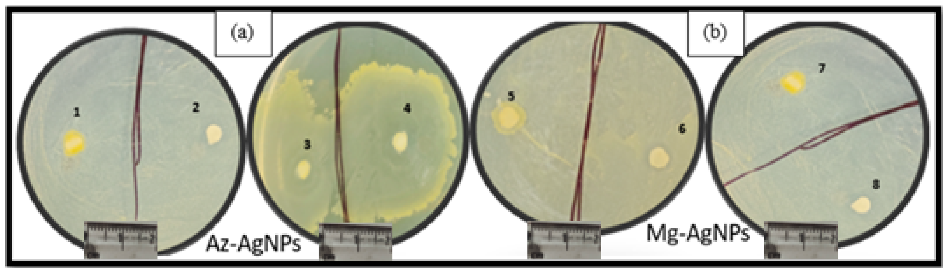 Physchem 03 00010 g013 Physchem 03 00010 g013