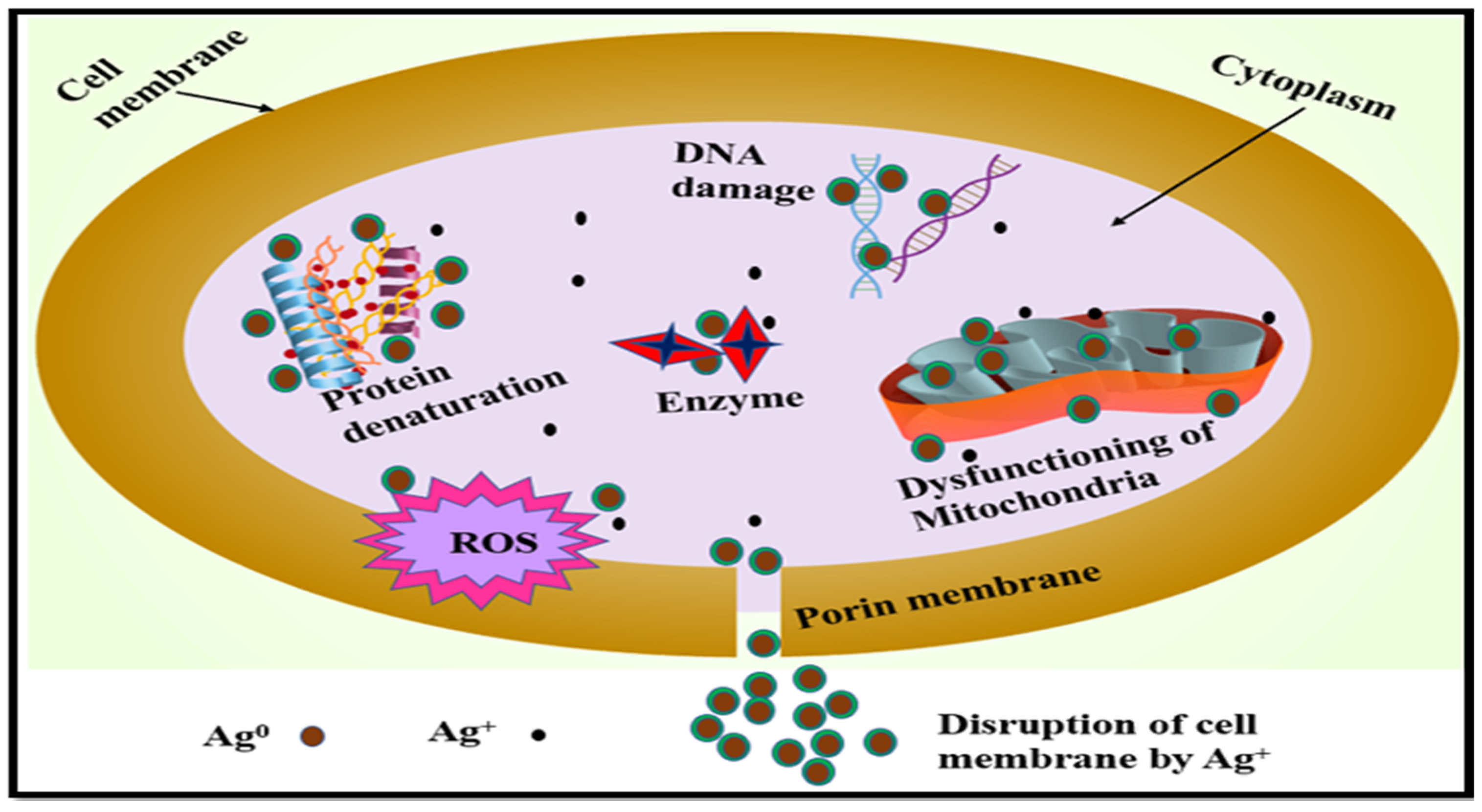 Physchem 03 00010 g015 Physchem 03 00010 g015